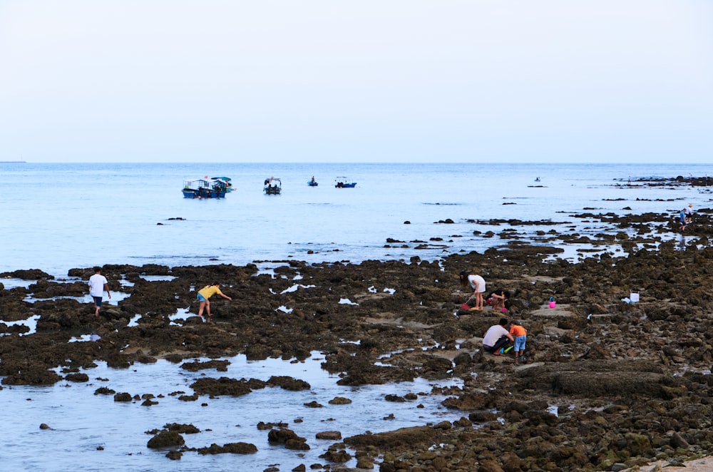 a group of people standing on top of a rocky beach