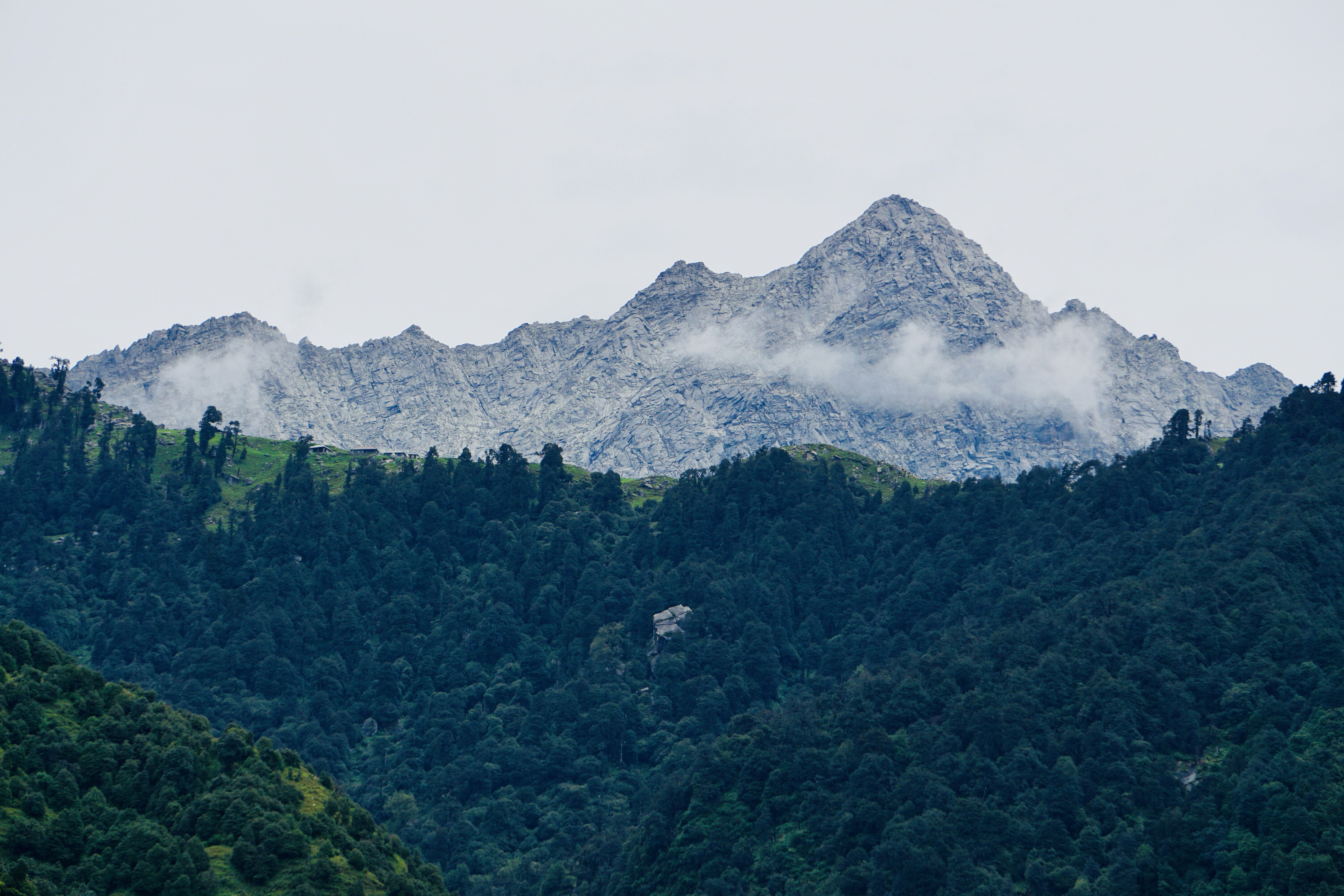 Photo by samarstuffler