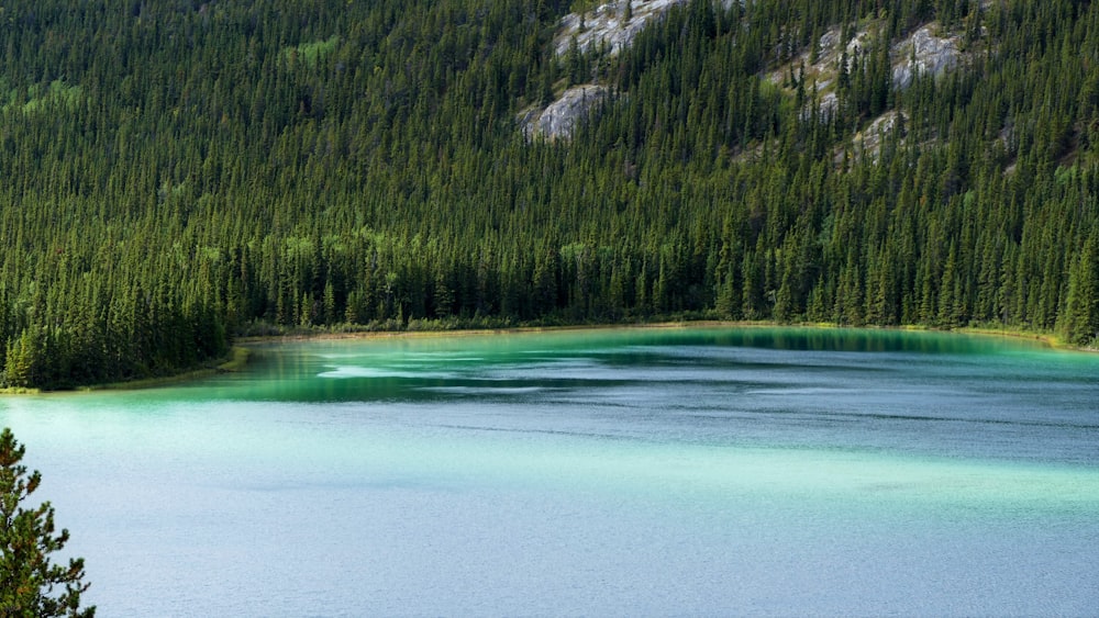 Ein blauer See, umgeben von Bäumen in den Bergen