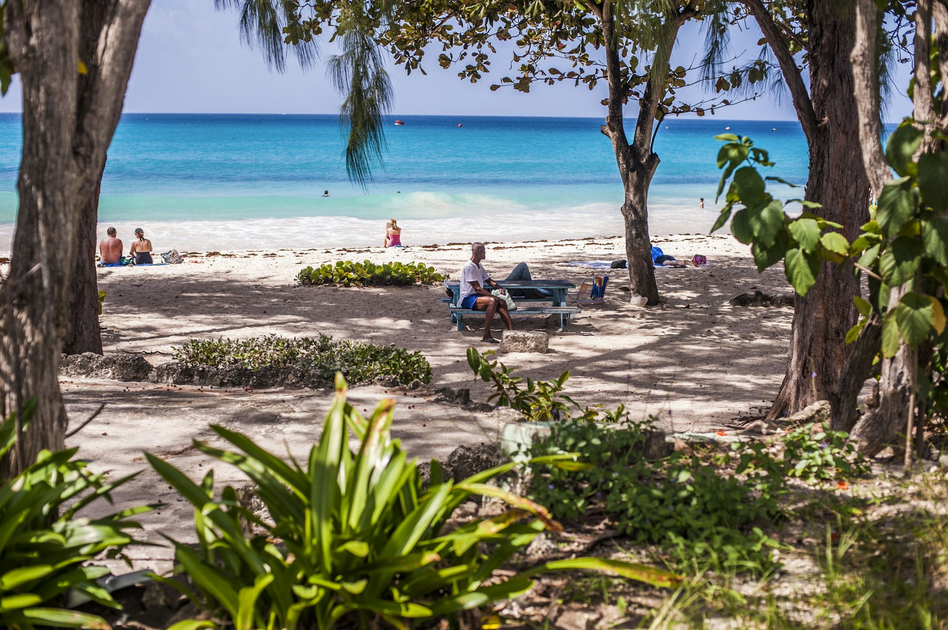 Vacanciers se reposant sur le sable fin de la plage à l ombre naturelle des arbres