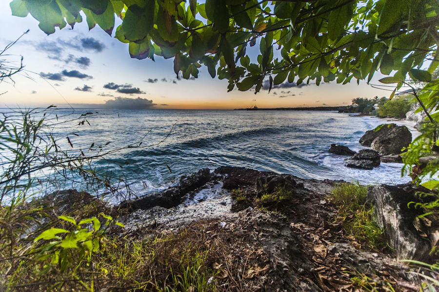 The Barbadian coastline seen from a cliff at dusk