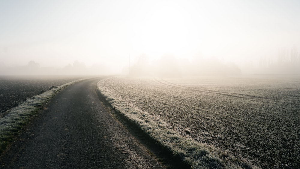 a foggy field with a road in the foreground