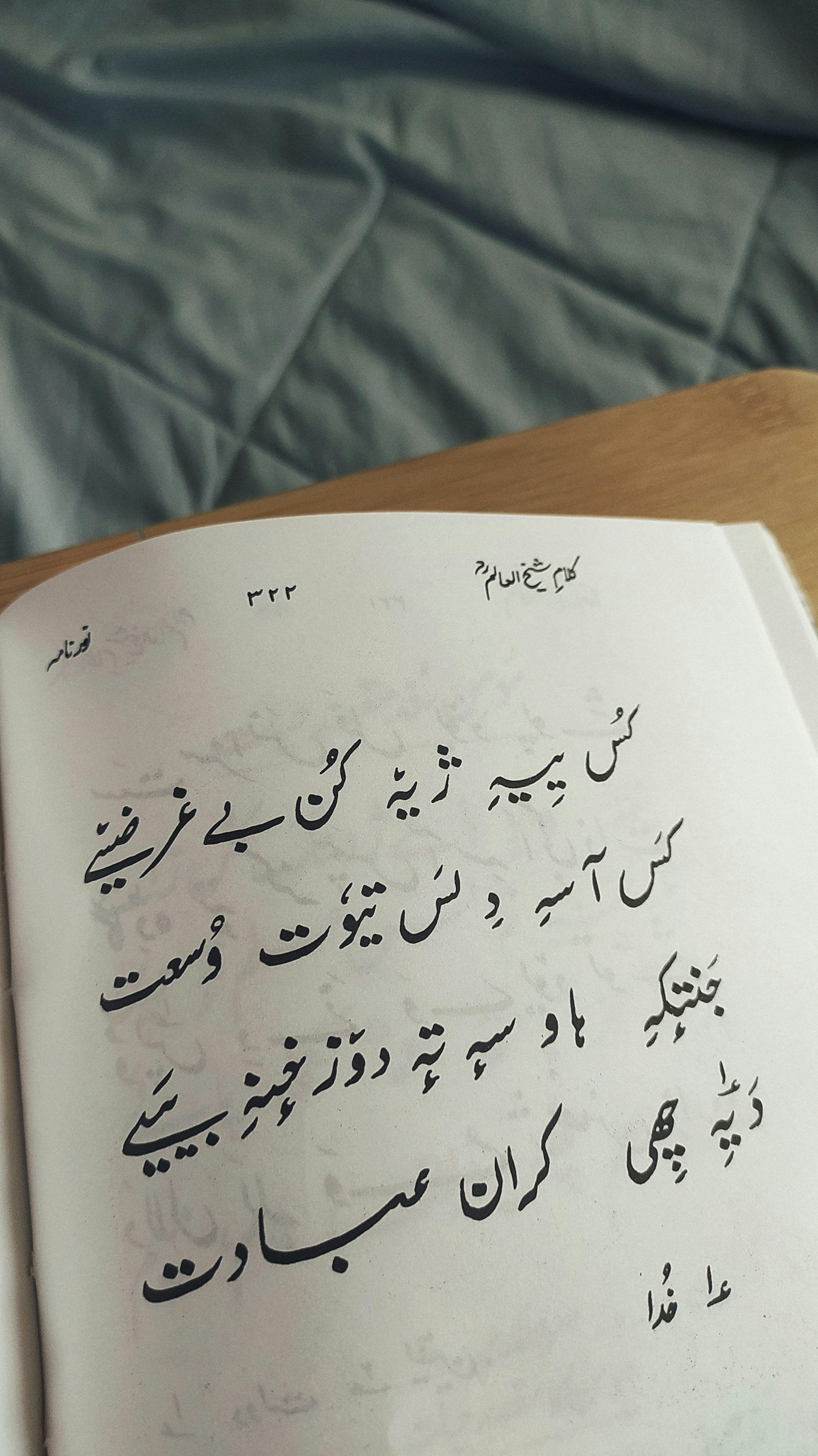 شير الجنون: ملحمة العاطفة والفن