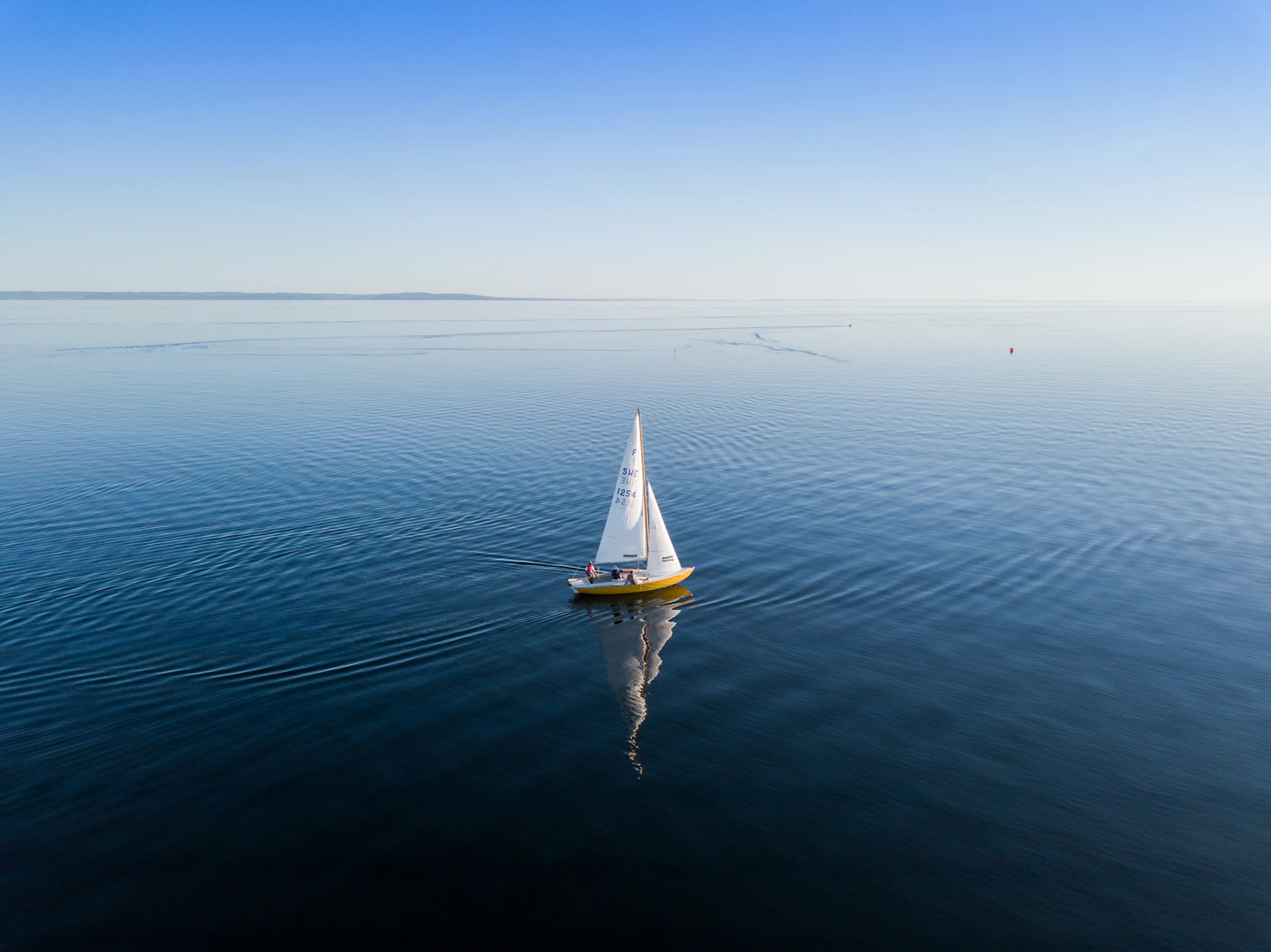 A Whale Strike Sank Their Yacht 250 Miles From Land — Then Came 17 Hours in a Life Raft