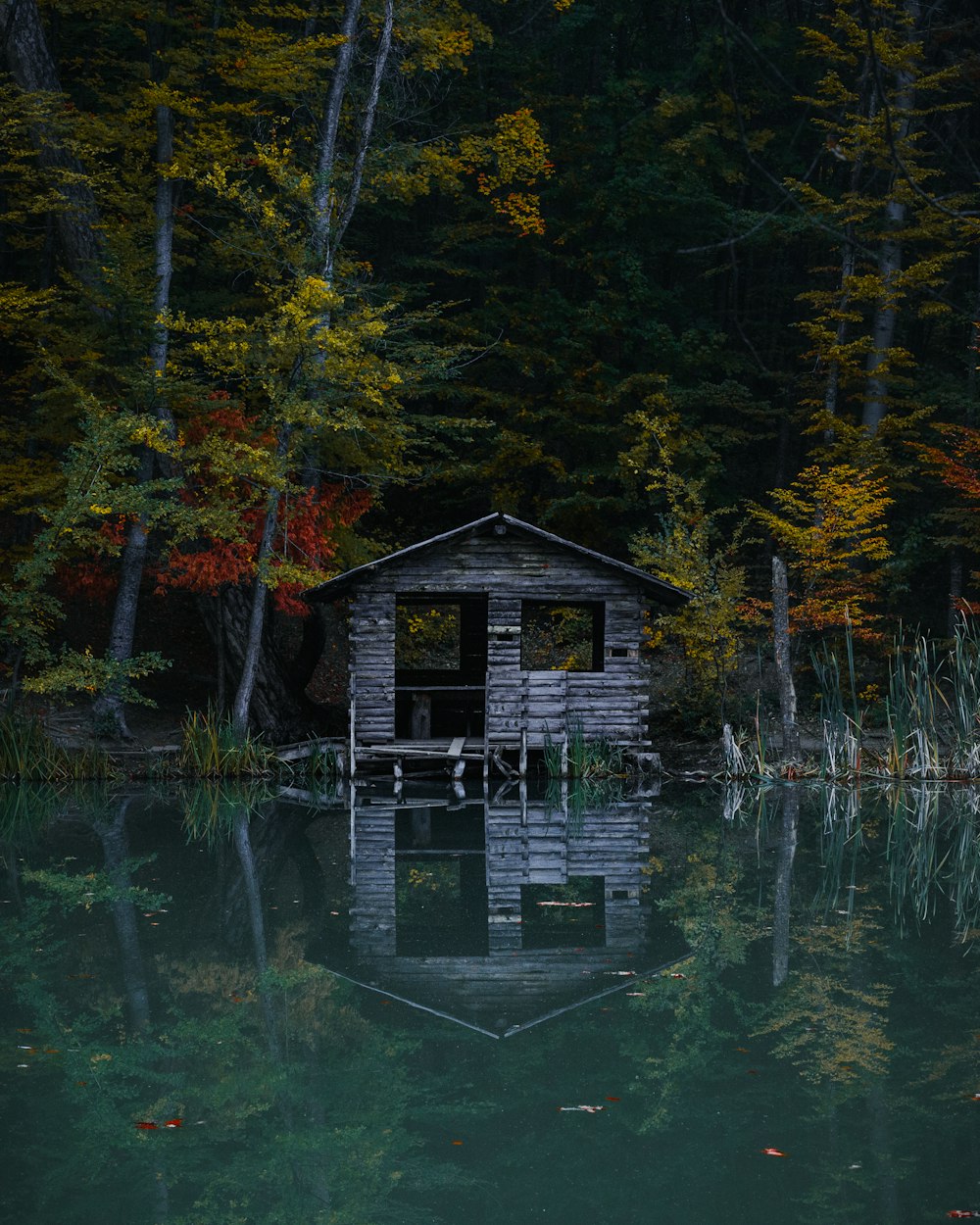 a small cabin sitting on top of a lake surrounded by trees