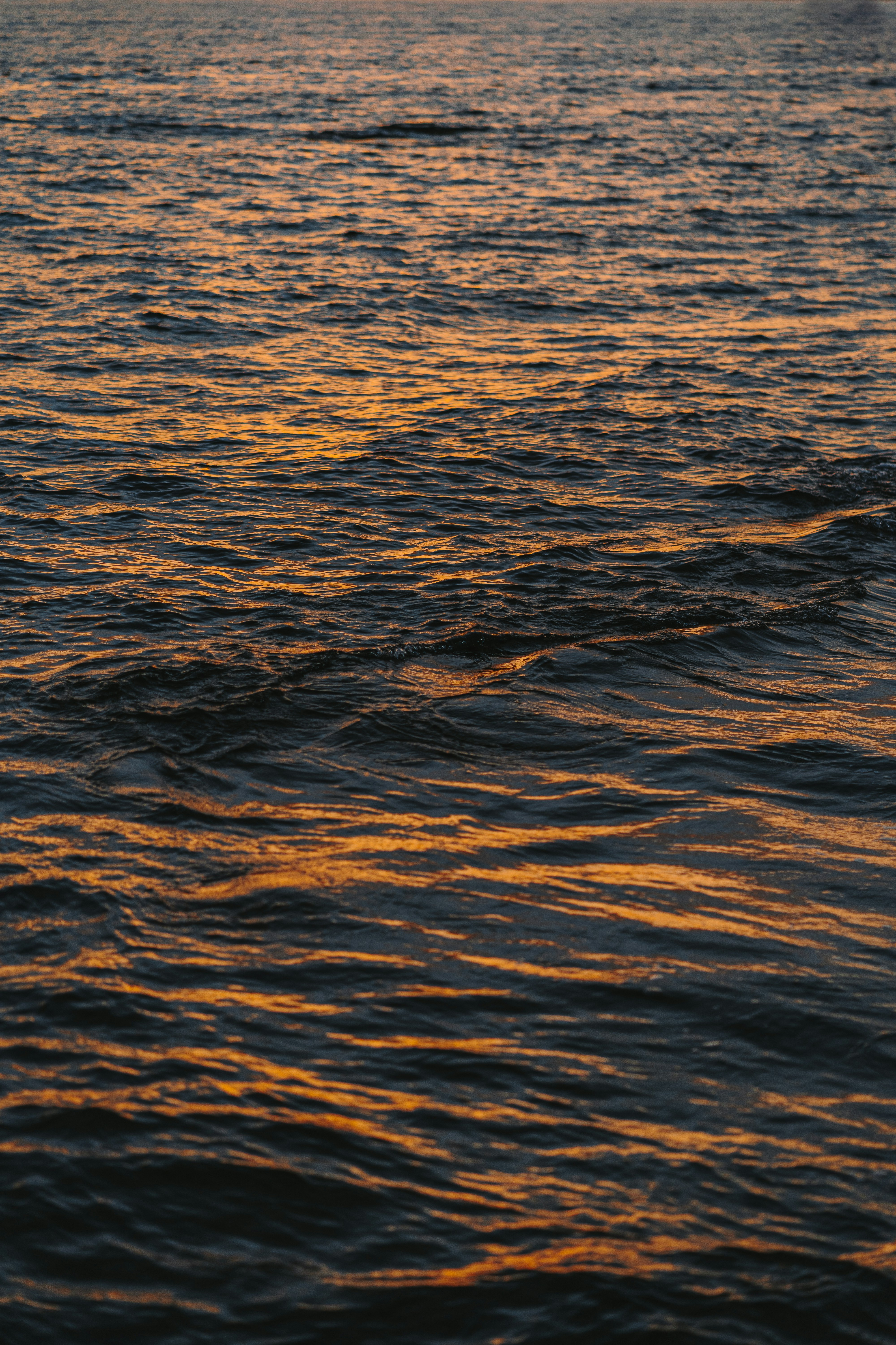 Photo by gianpaoloantonucci_