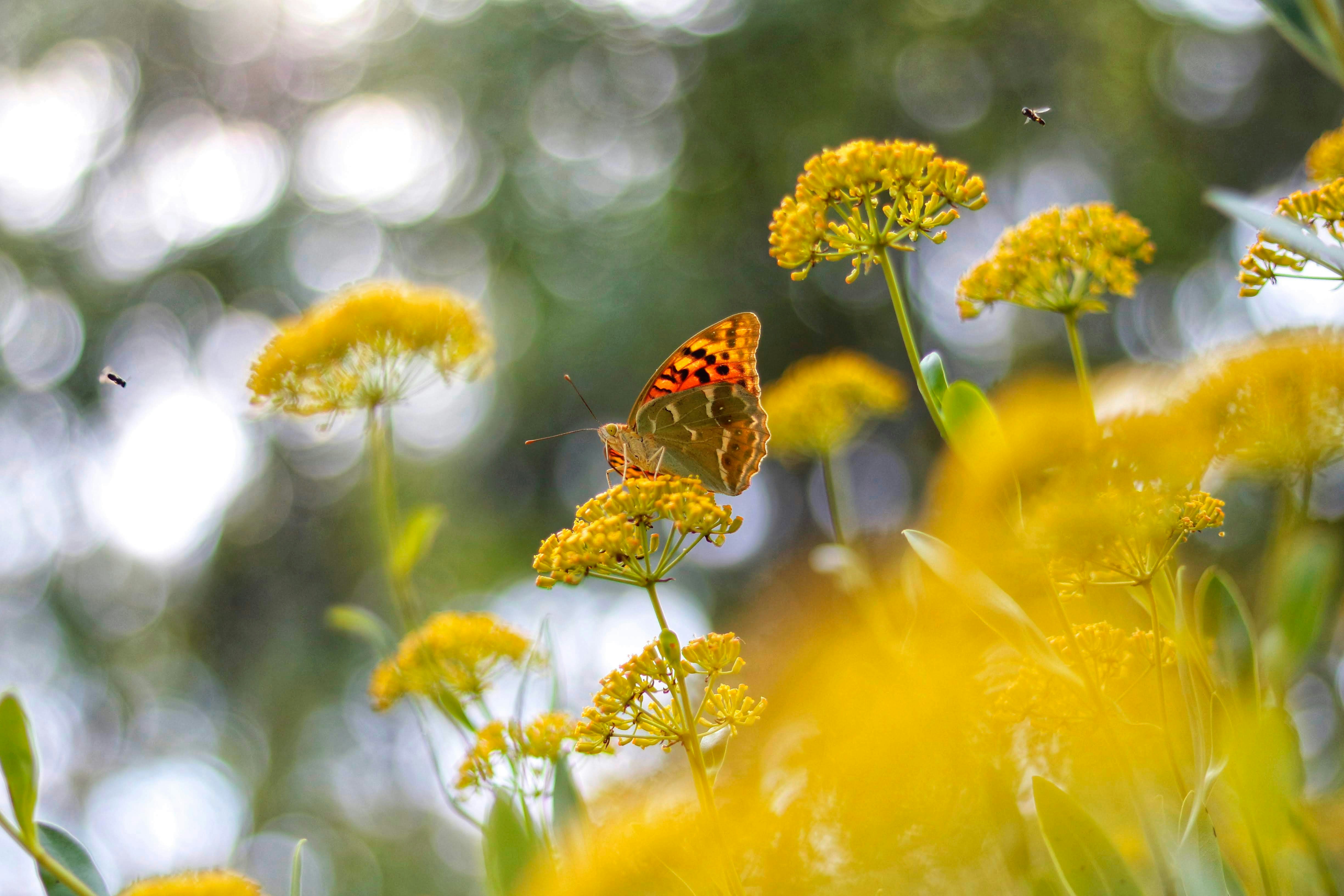 Photo by alexanderanisin