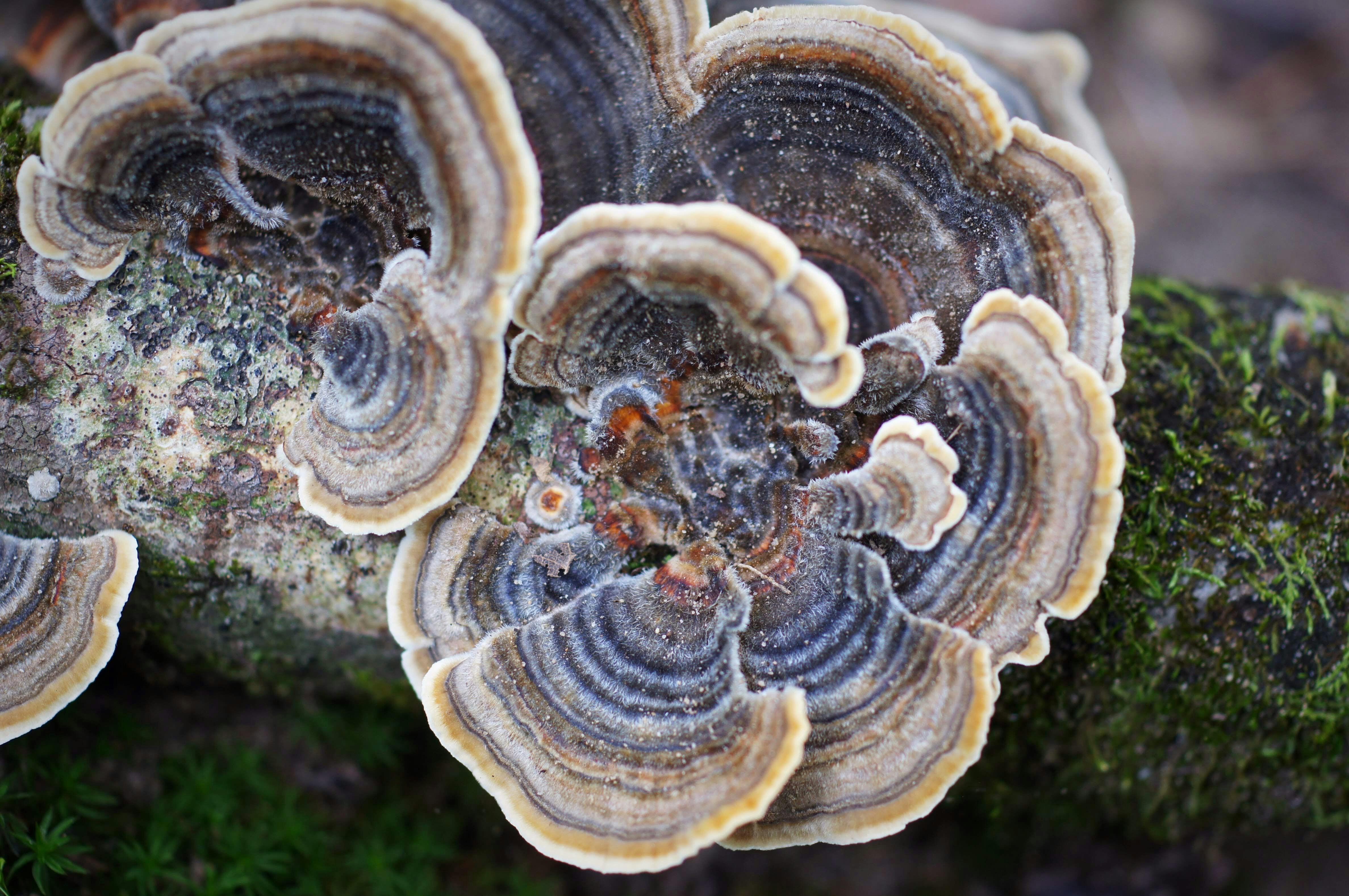 Photo by cahabaimages