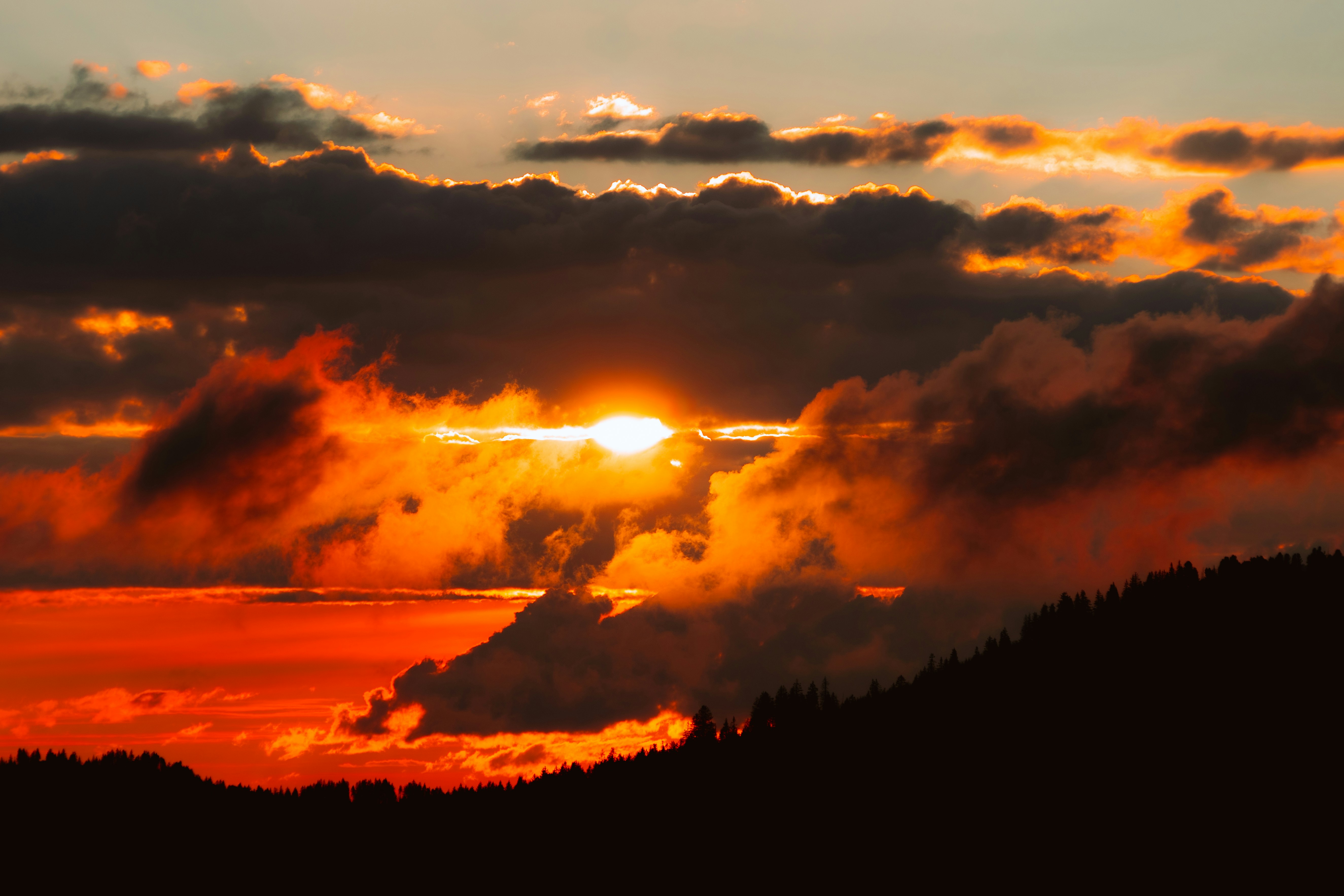 Photo by benaja_photos