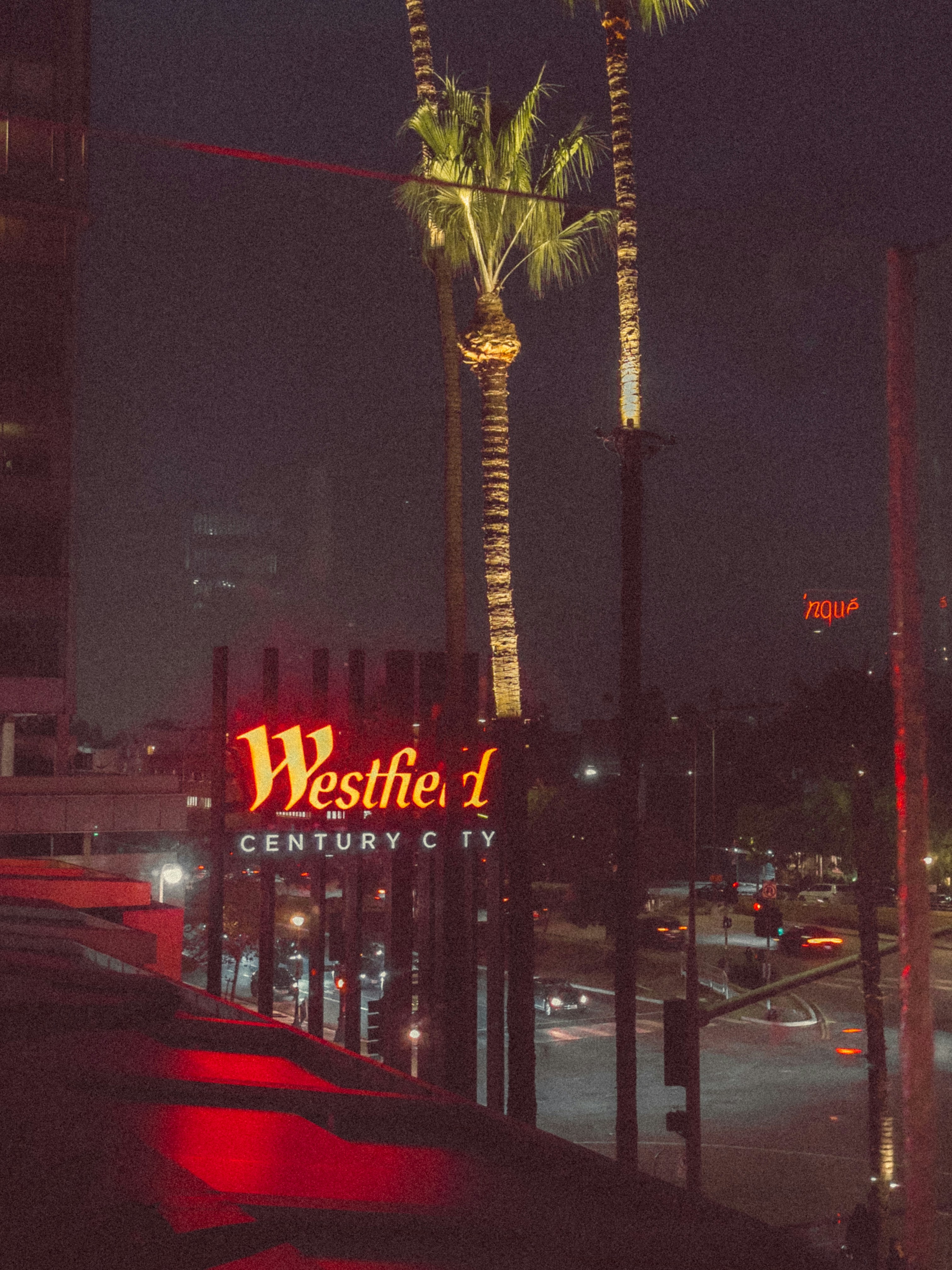 a palm tree is lit up at night