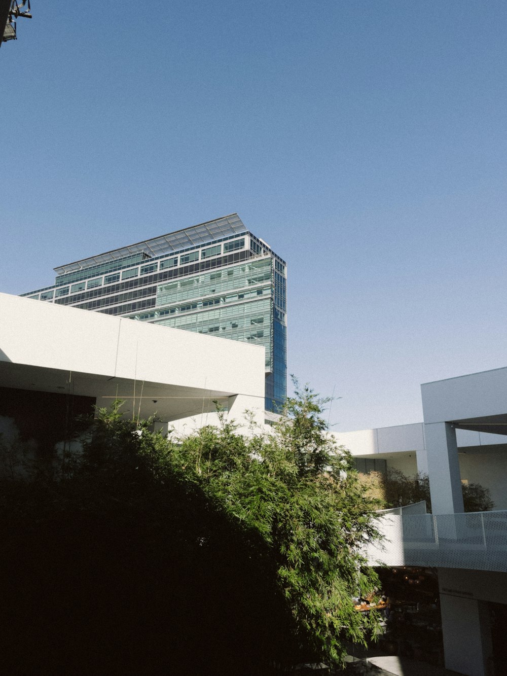 a tall building sitting next to a lush green forest