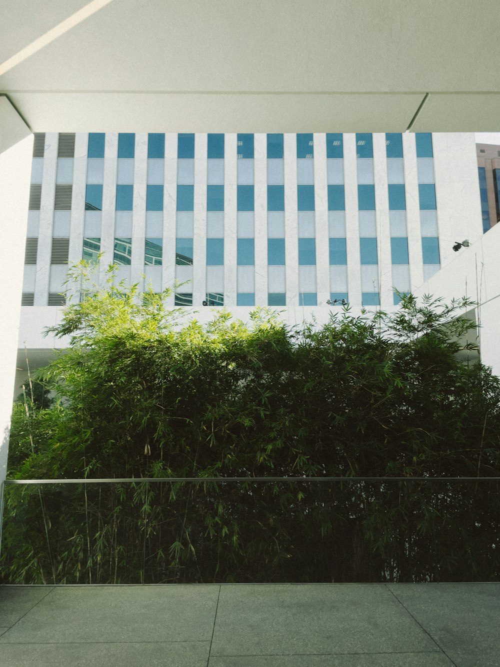 a tall white building sitting next to a lush green bush