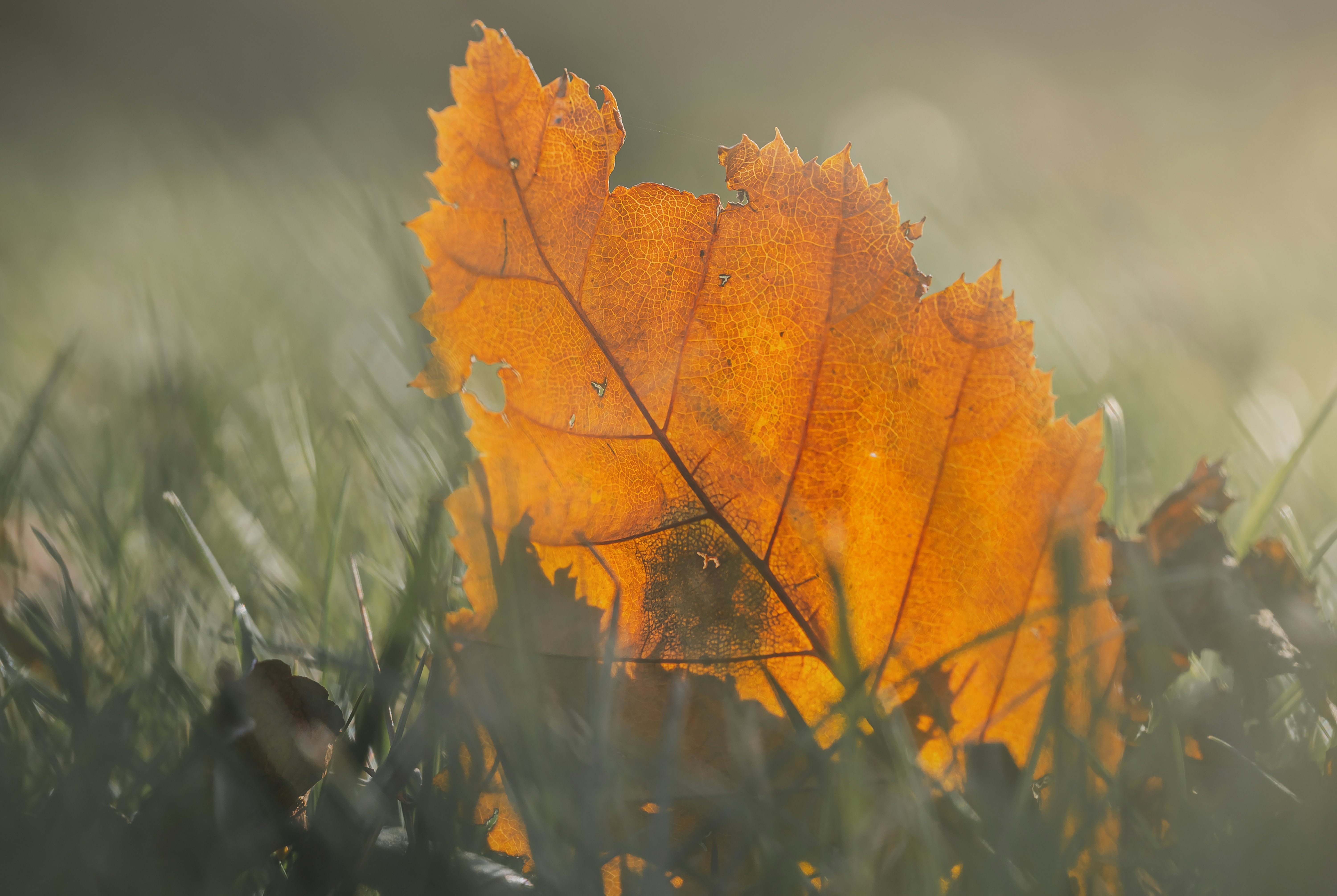 Photo by myriamzilles