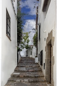a narrow alleyway with stone steps leading up to a building