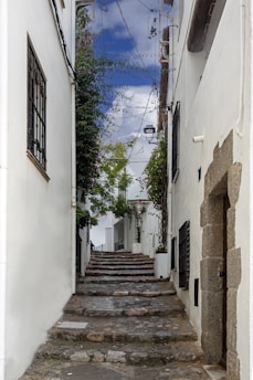 a narrow alleyway with stone steps leading up to a building