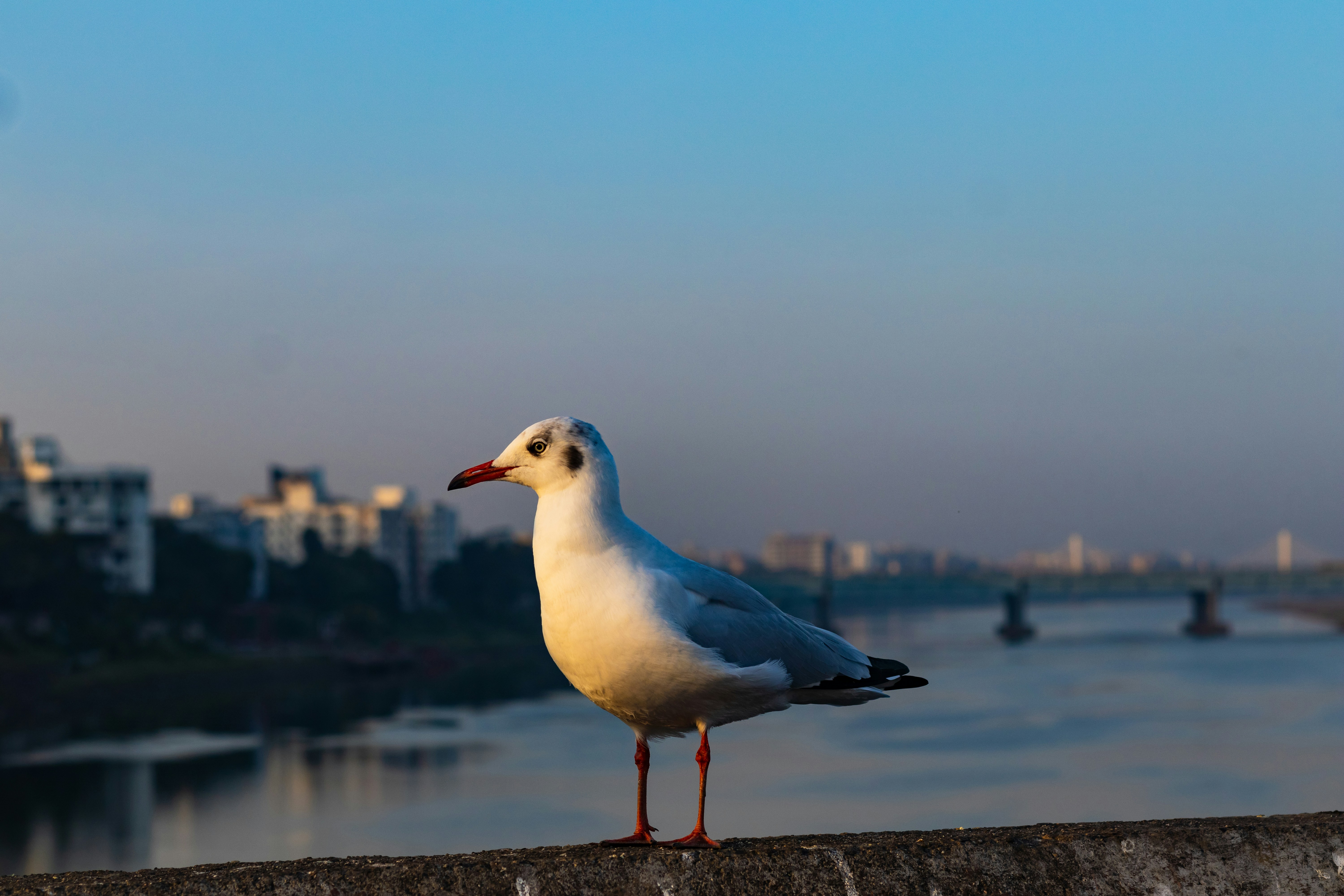 Photo by vdphotography