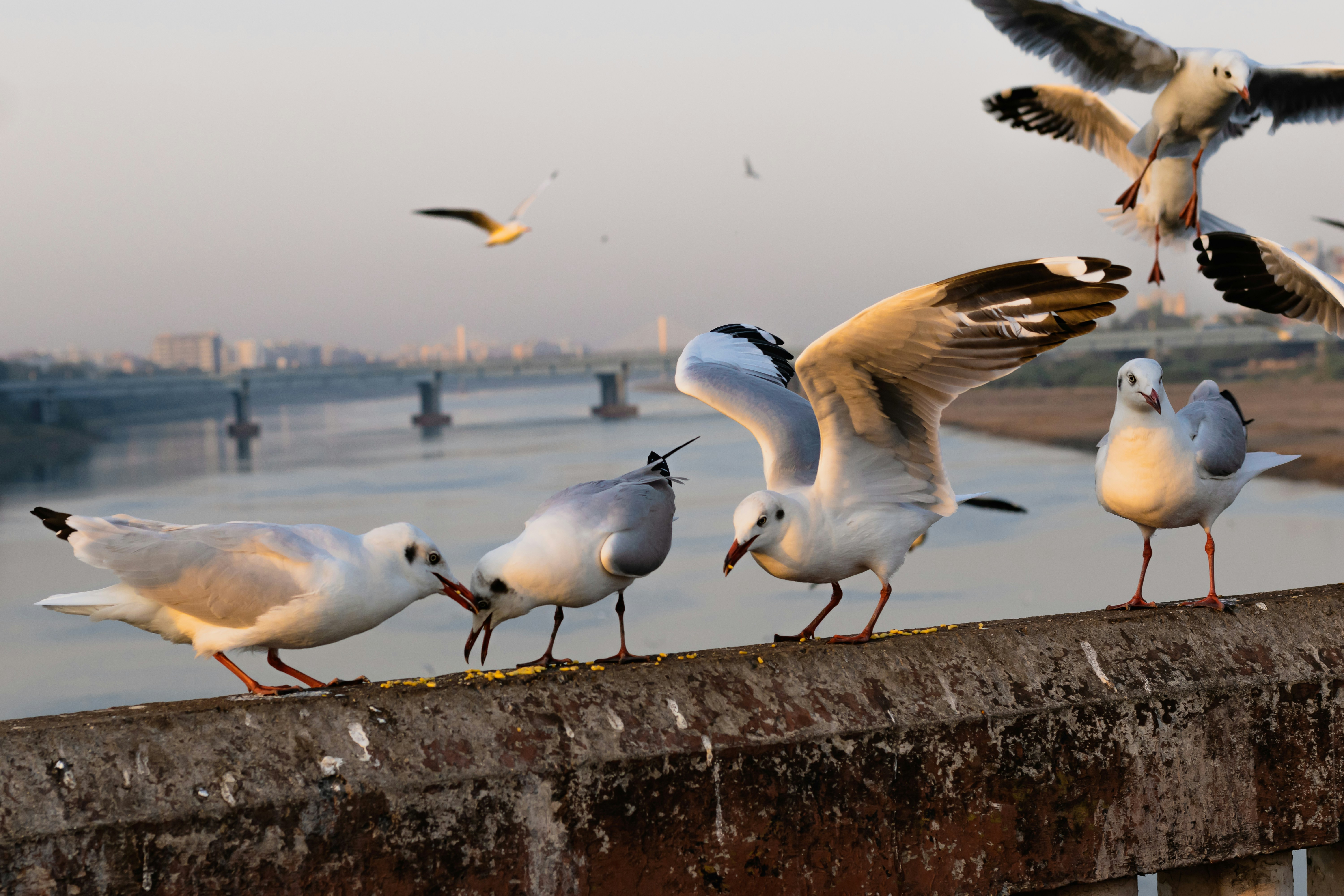 Photo by vdphotography