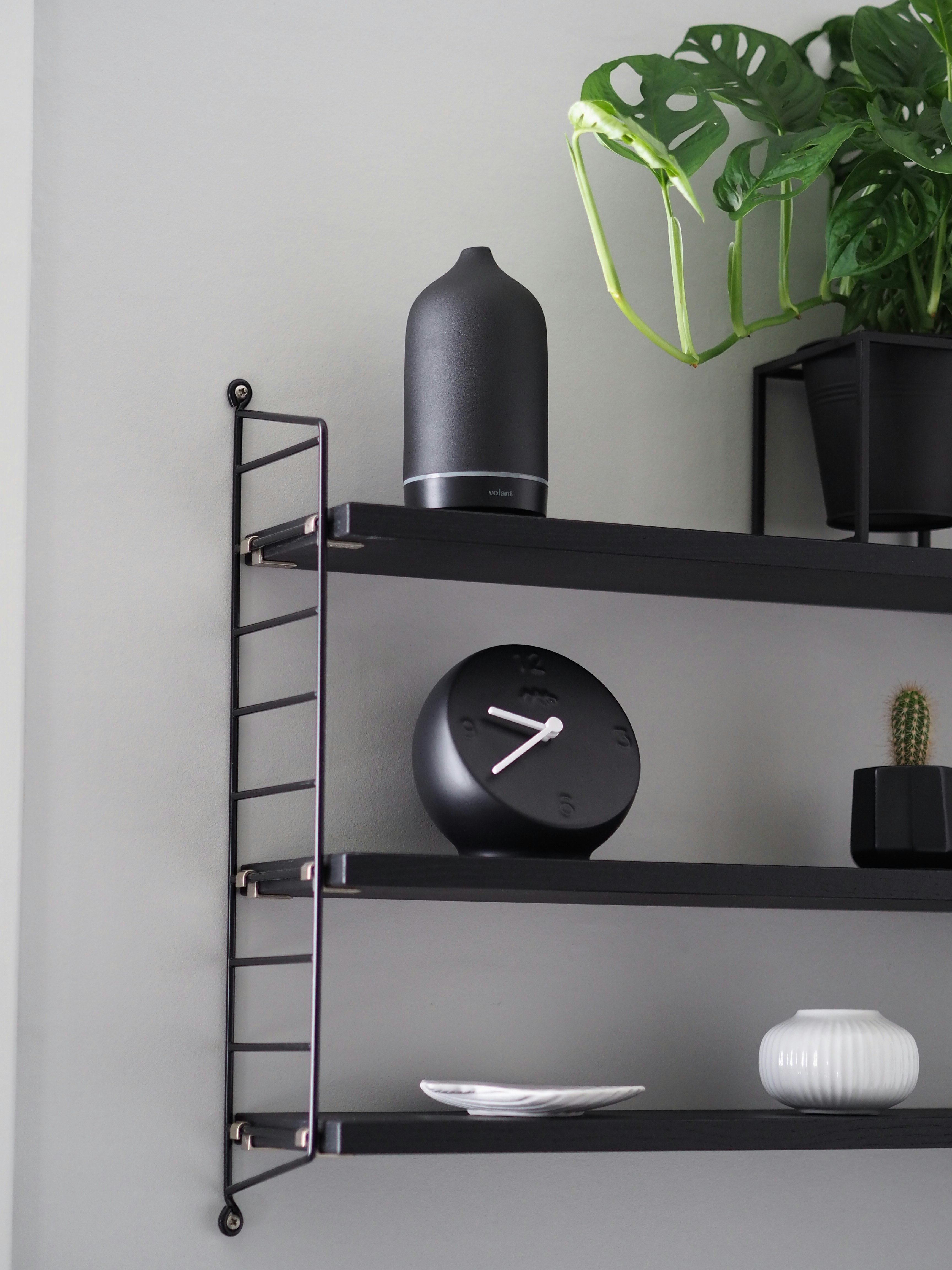 Photo by volantaroma