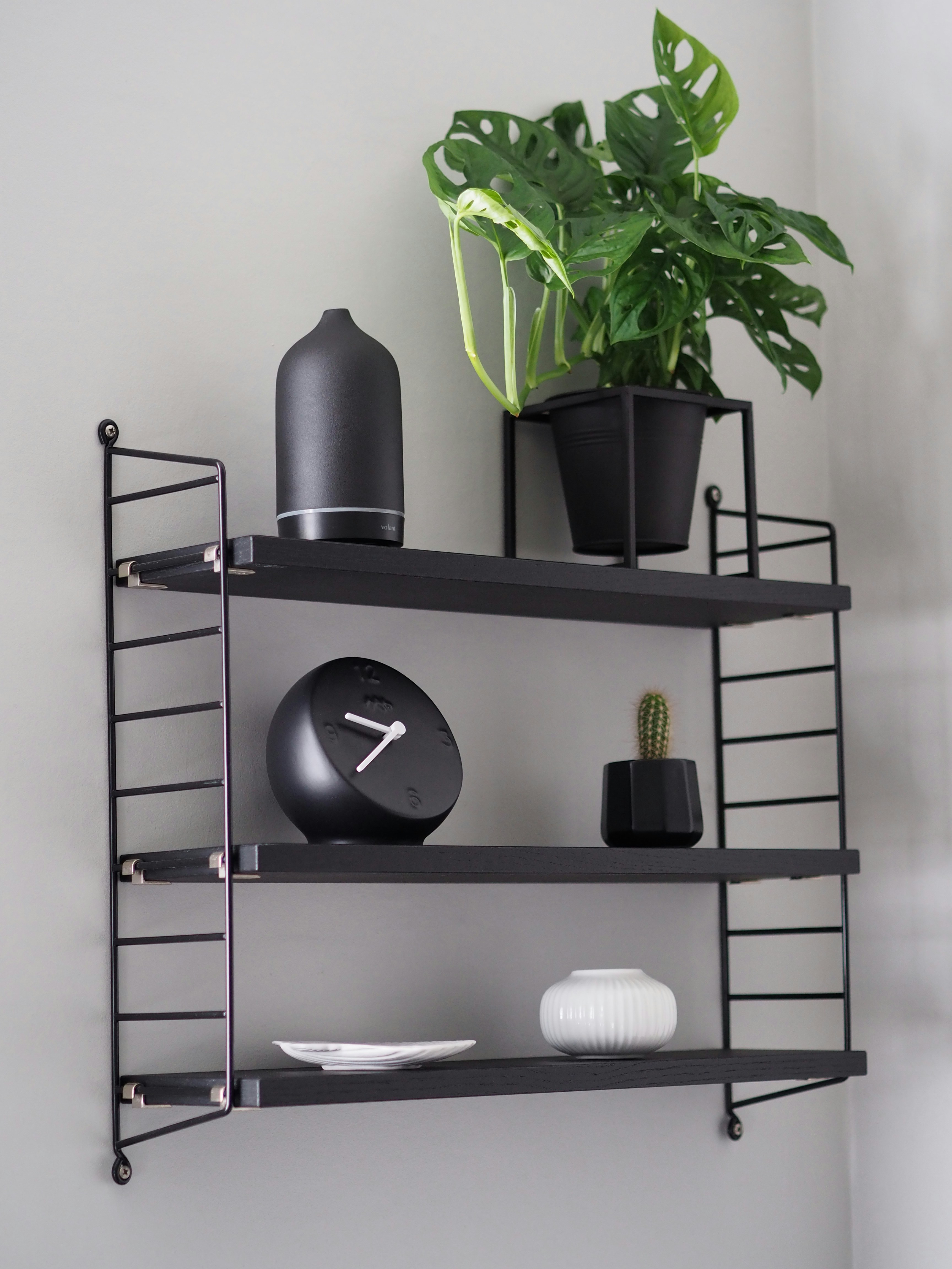 Photo by volantaroma