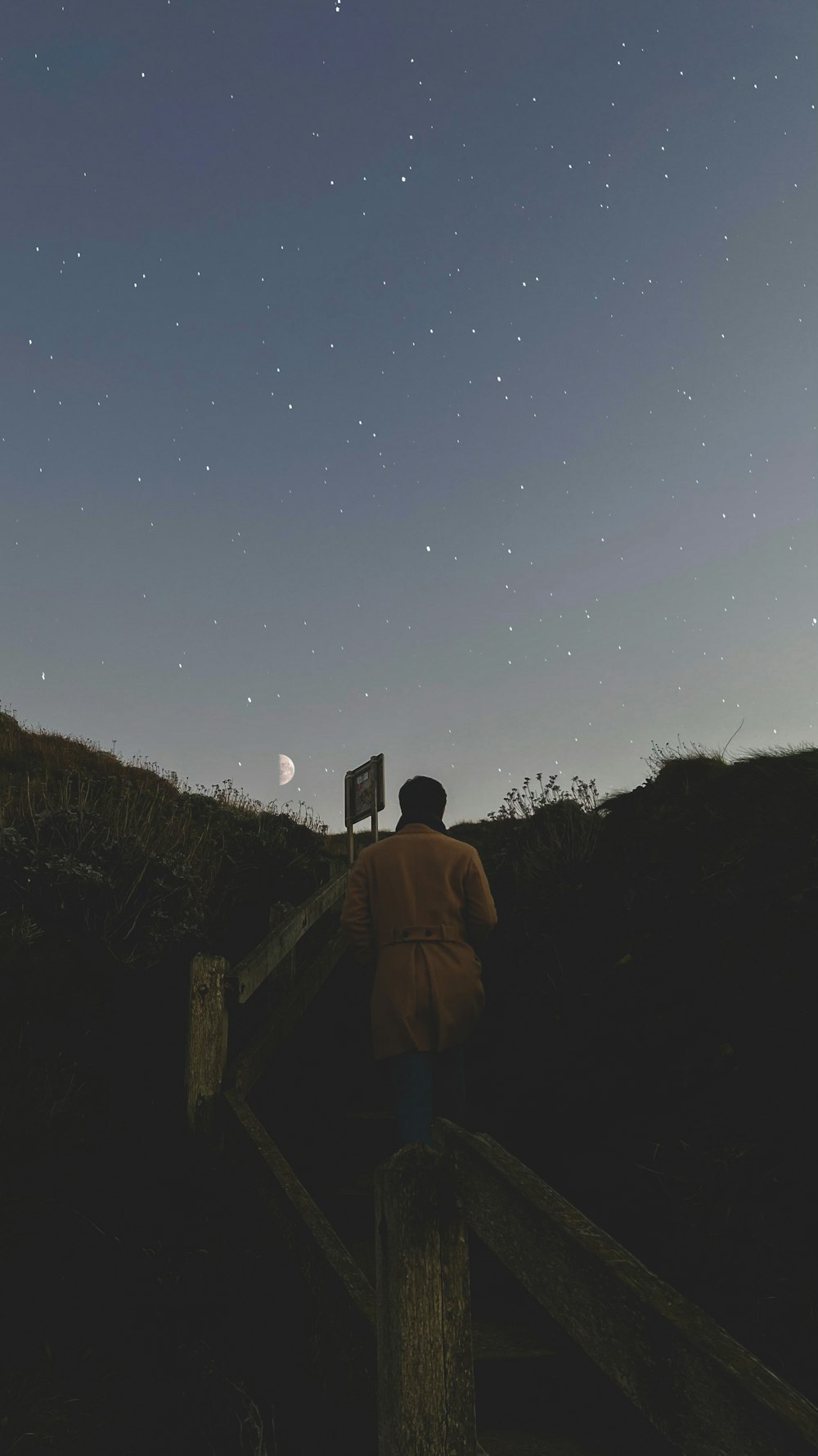 a person standing on a fence looking up at the sky