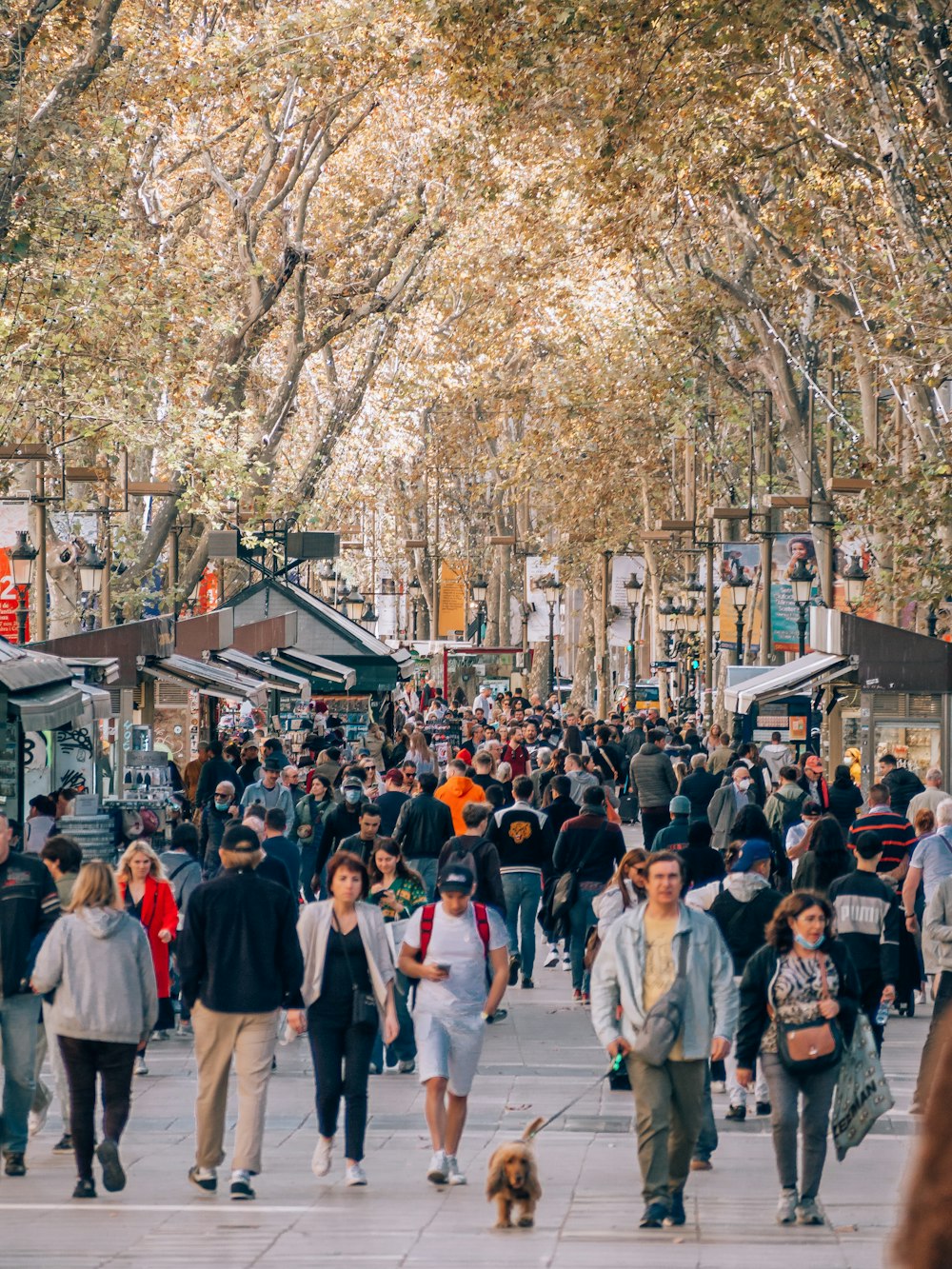 a crowd of people walking down a street