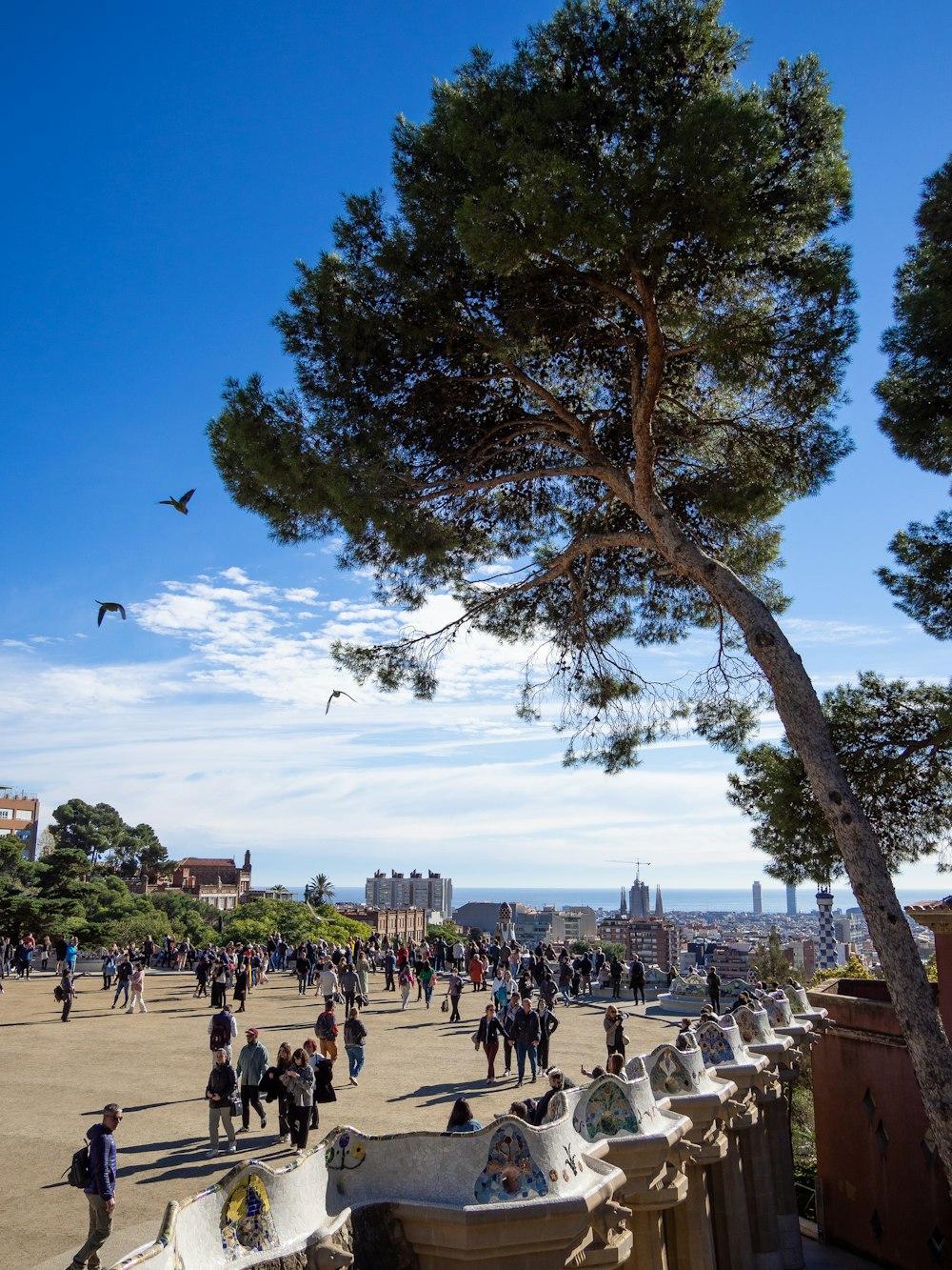 Un grande gruppo di persone che camminano intorno a un parco