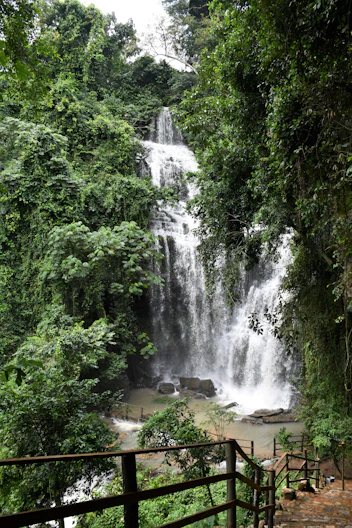 a large waterfall in the middle of a forest