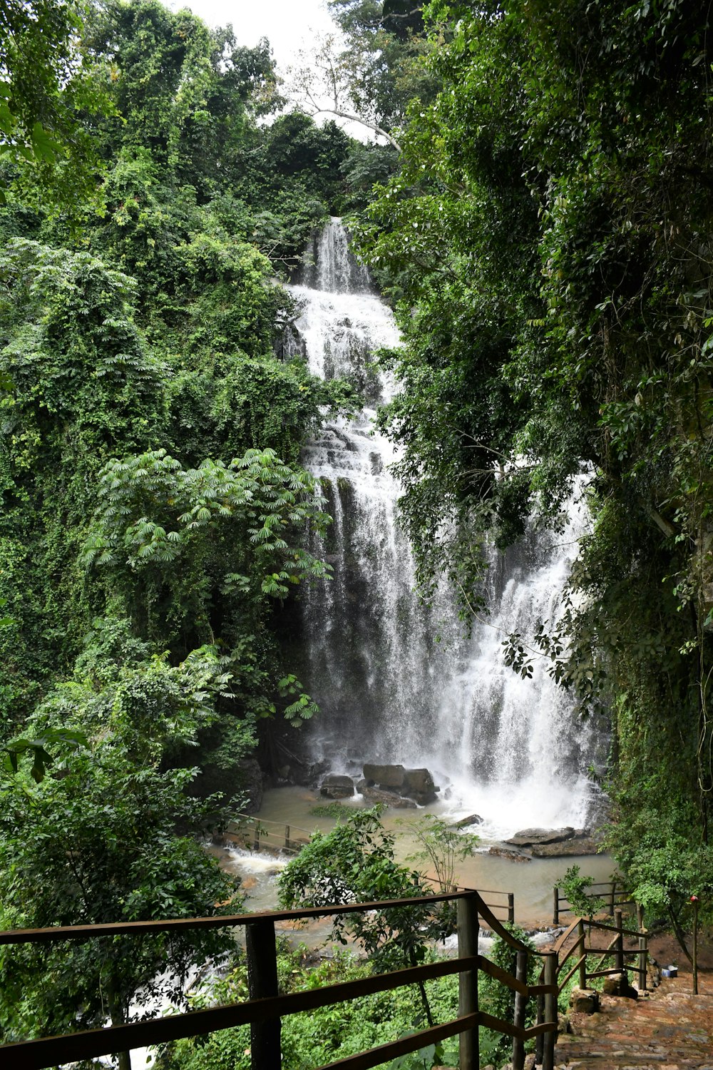 a large waterfall in the middle of a forest