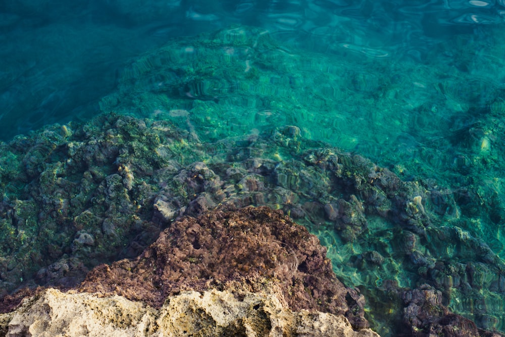 a rocky outcropping in the middle of a body of water