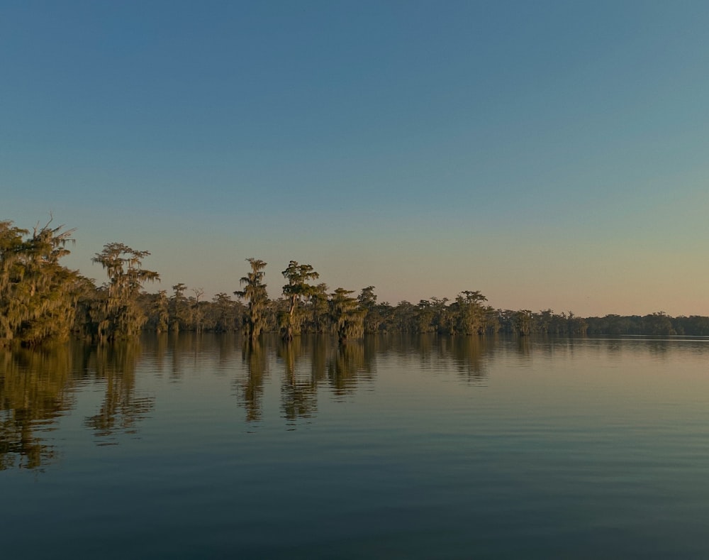 a body of water with trees in the background