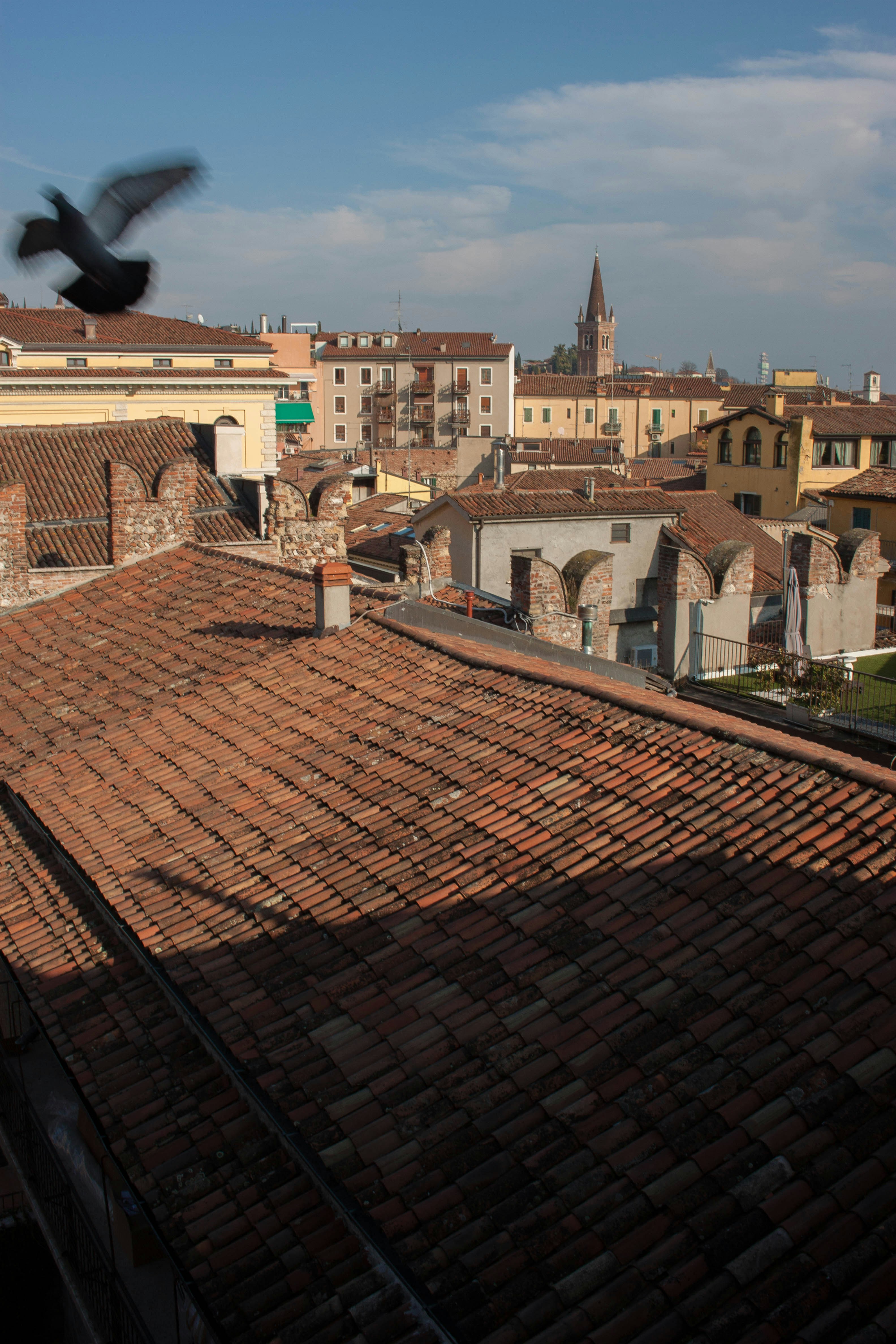 Photo by kamillaisalieva