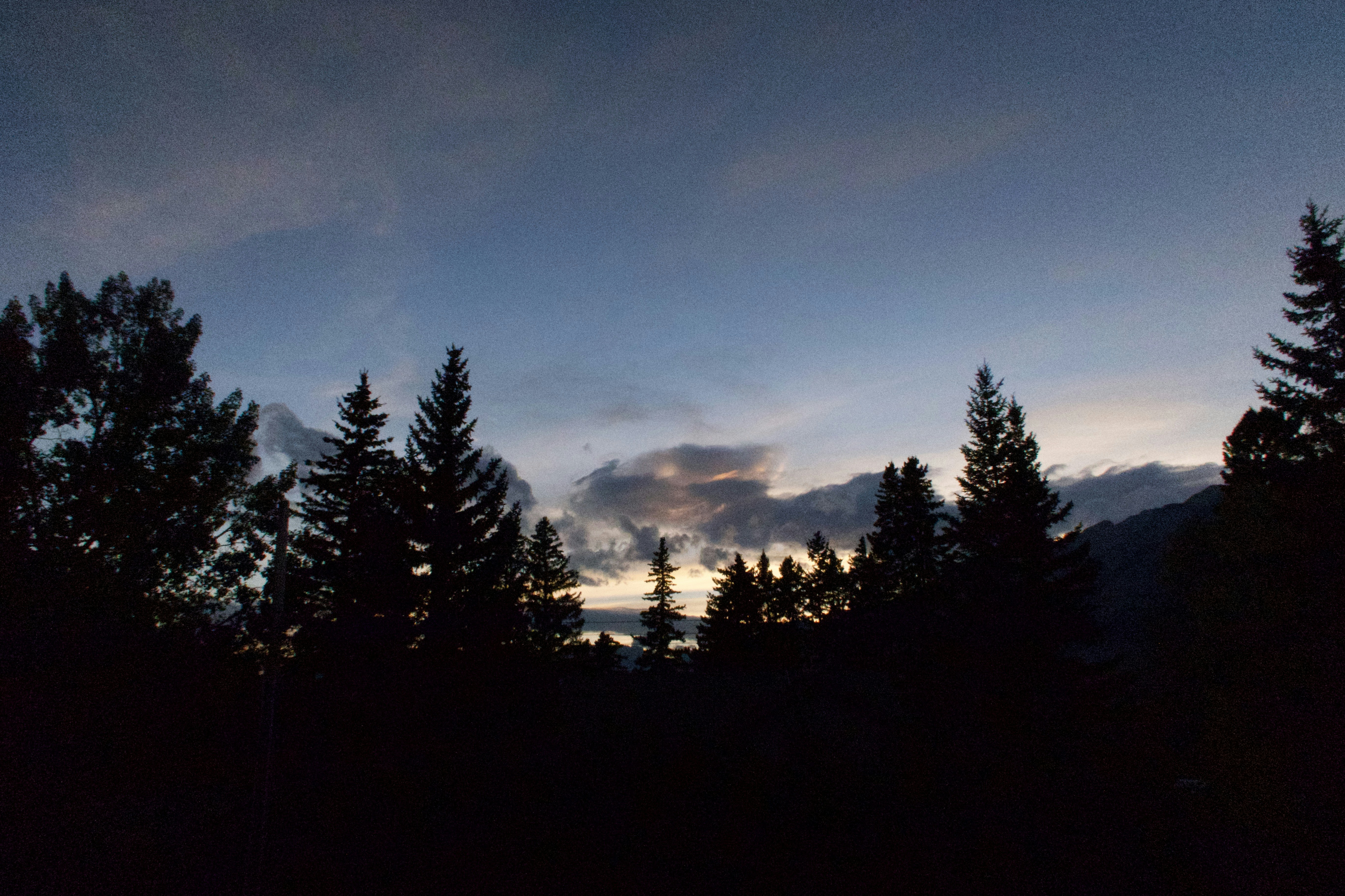 Photo by peacelily234