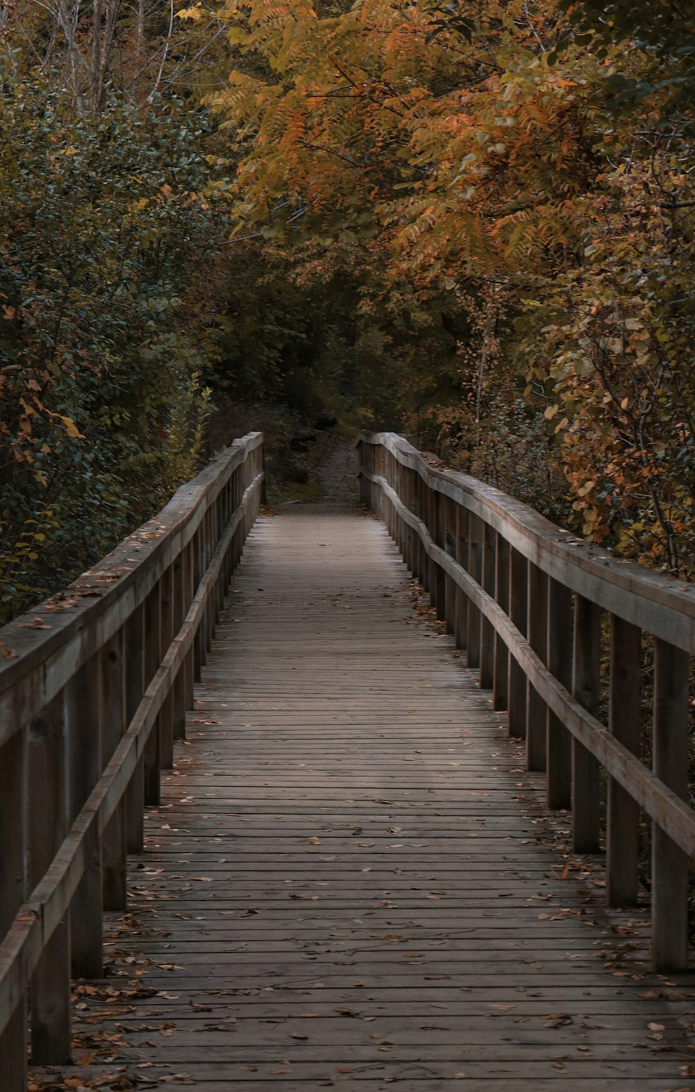a wooden bridge that is surrounded by trees