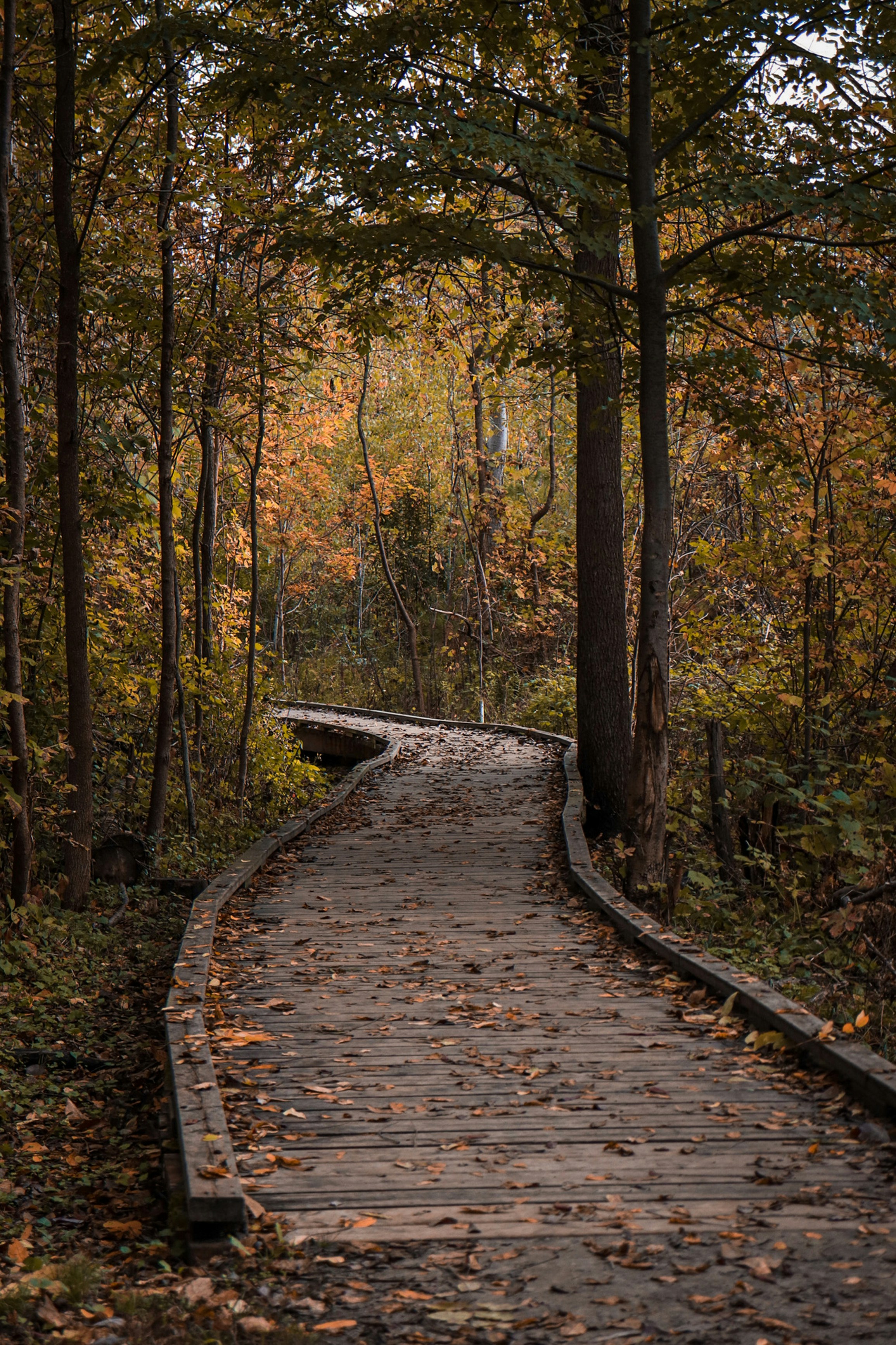 Photo by hlaurphotography