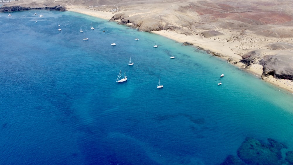 a group of boats floating on top of a body of water