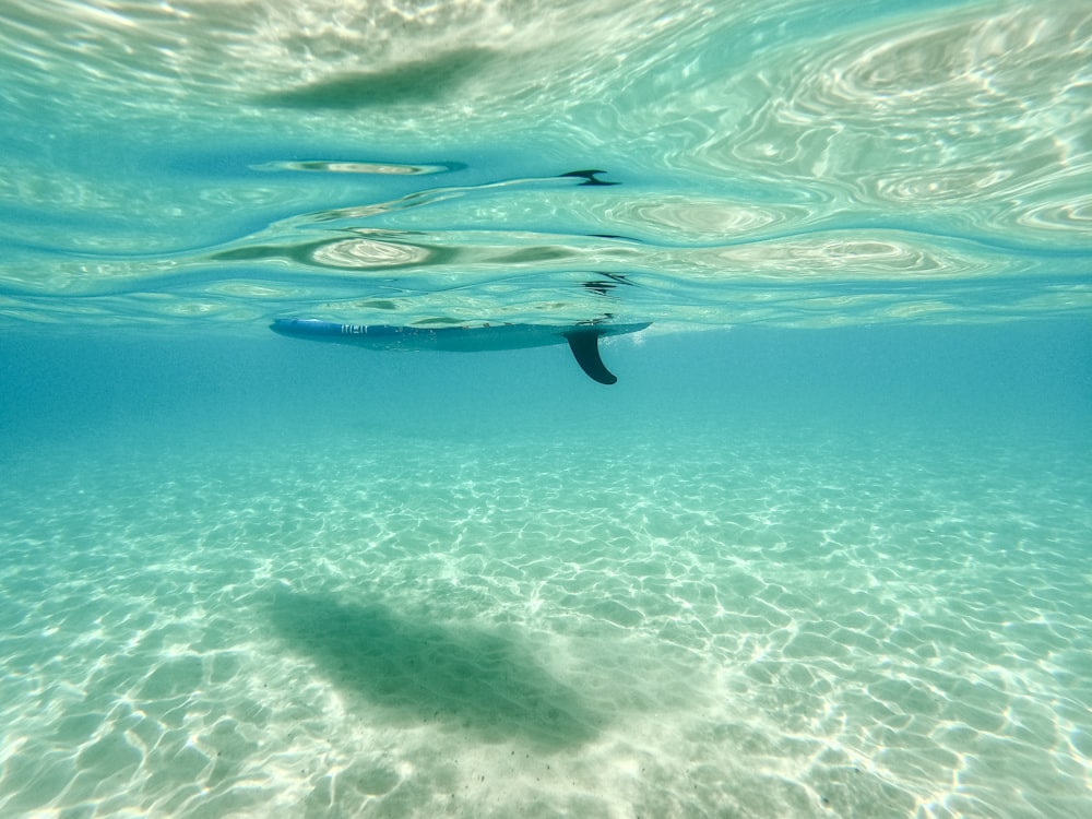 Blick auf ein Surfbrett unter Wasser