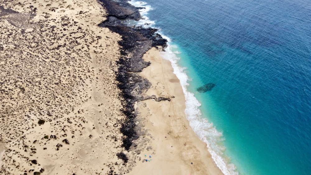 an aerial view of a beach and ocean