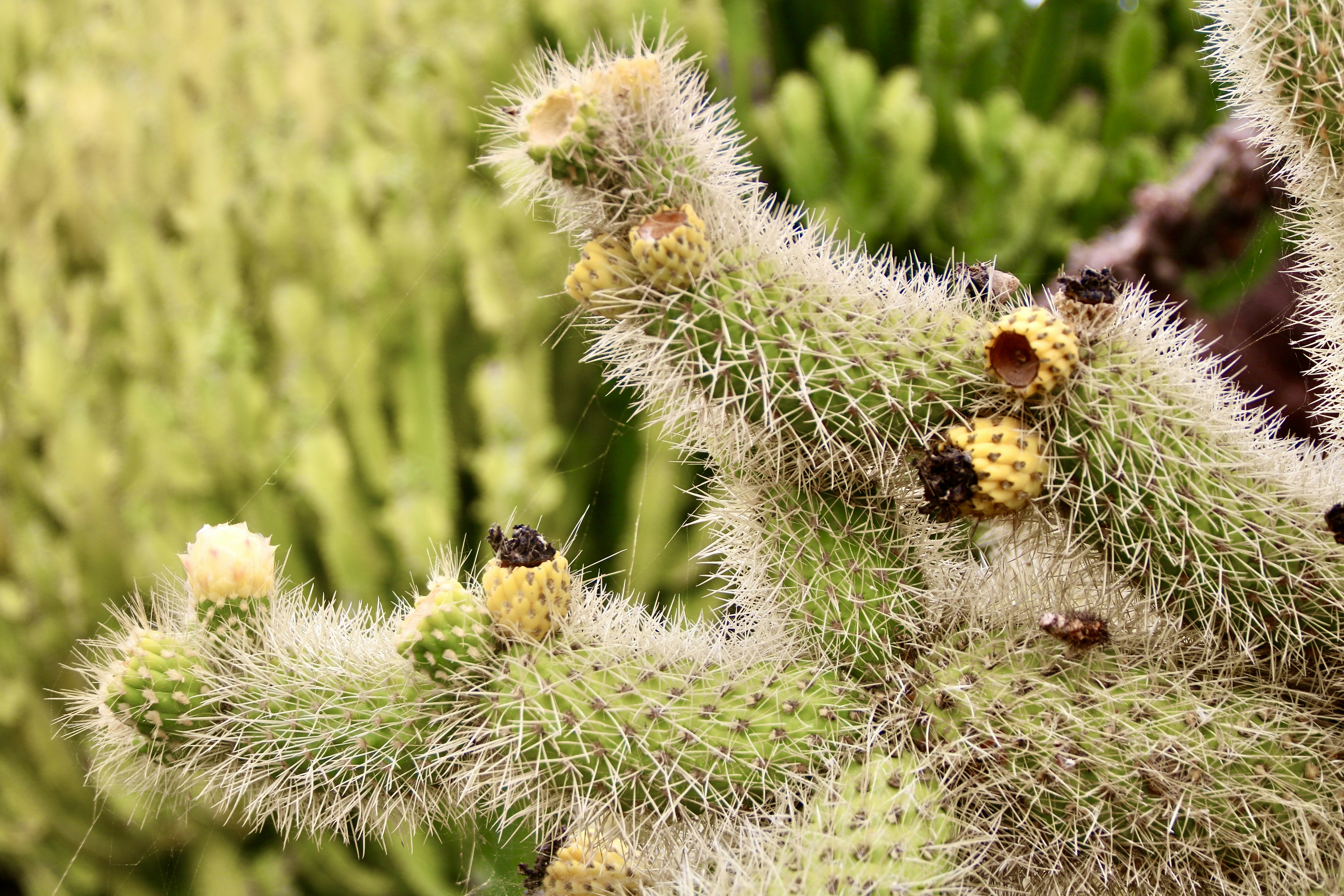 Photo by jorgefdezsalas