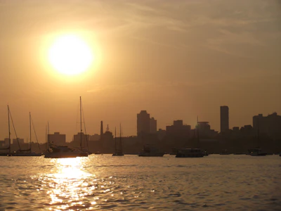 A scenic waterfront view with sailboats and the city skyline at sunset.
