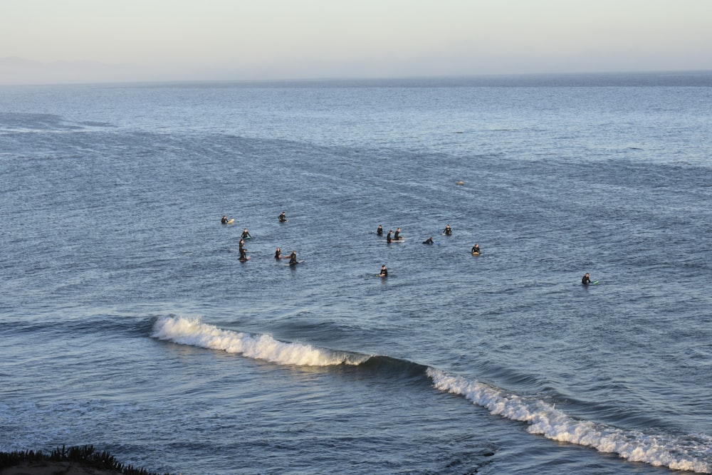 a group of people swimming in the ocean