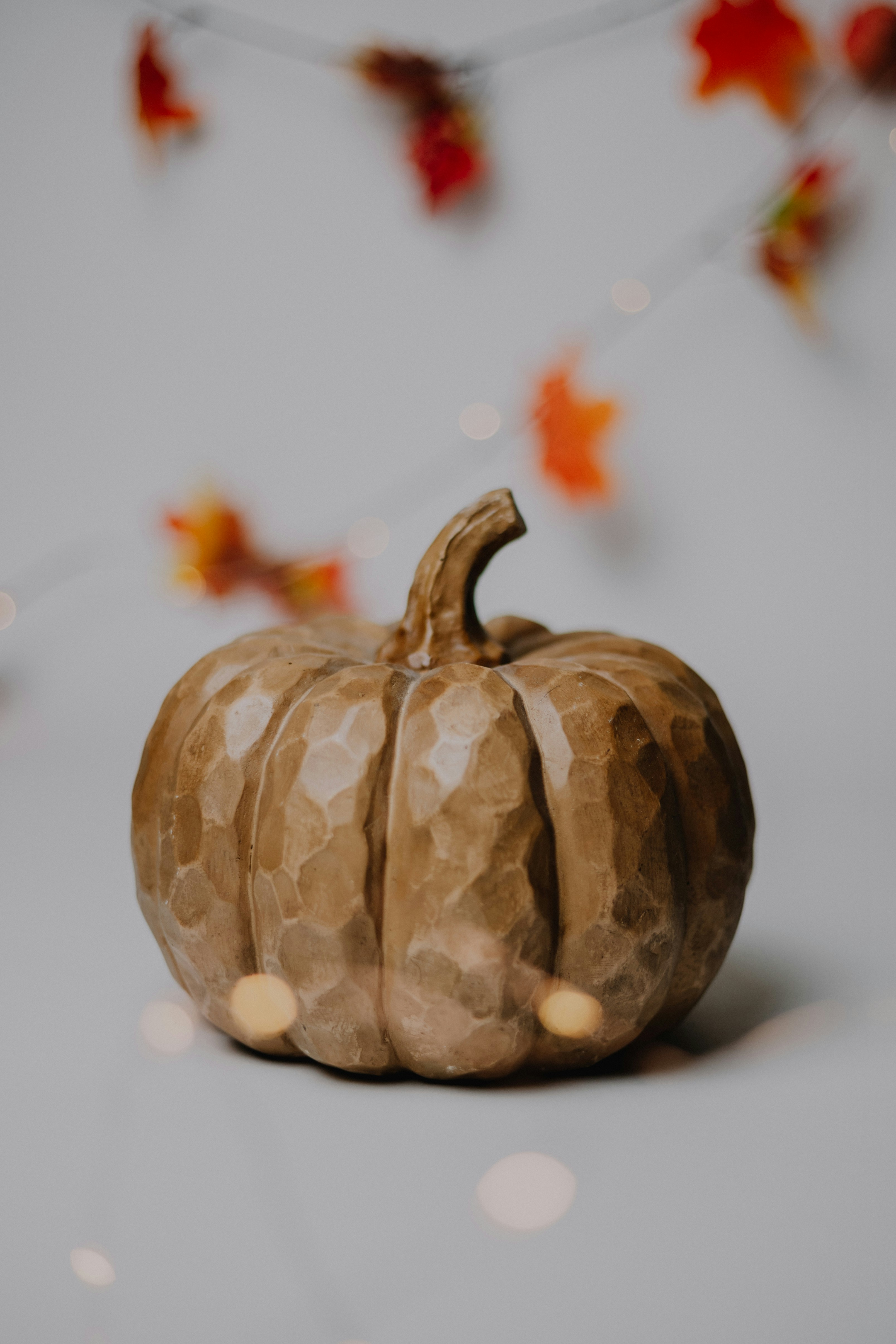 Photo by isaacmartin