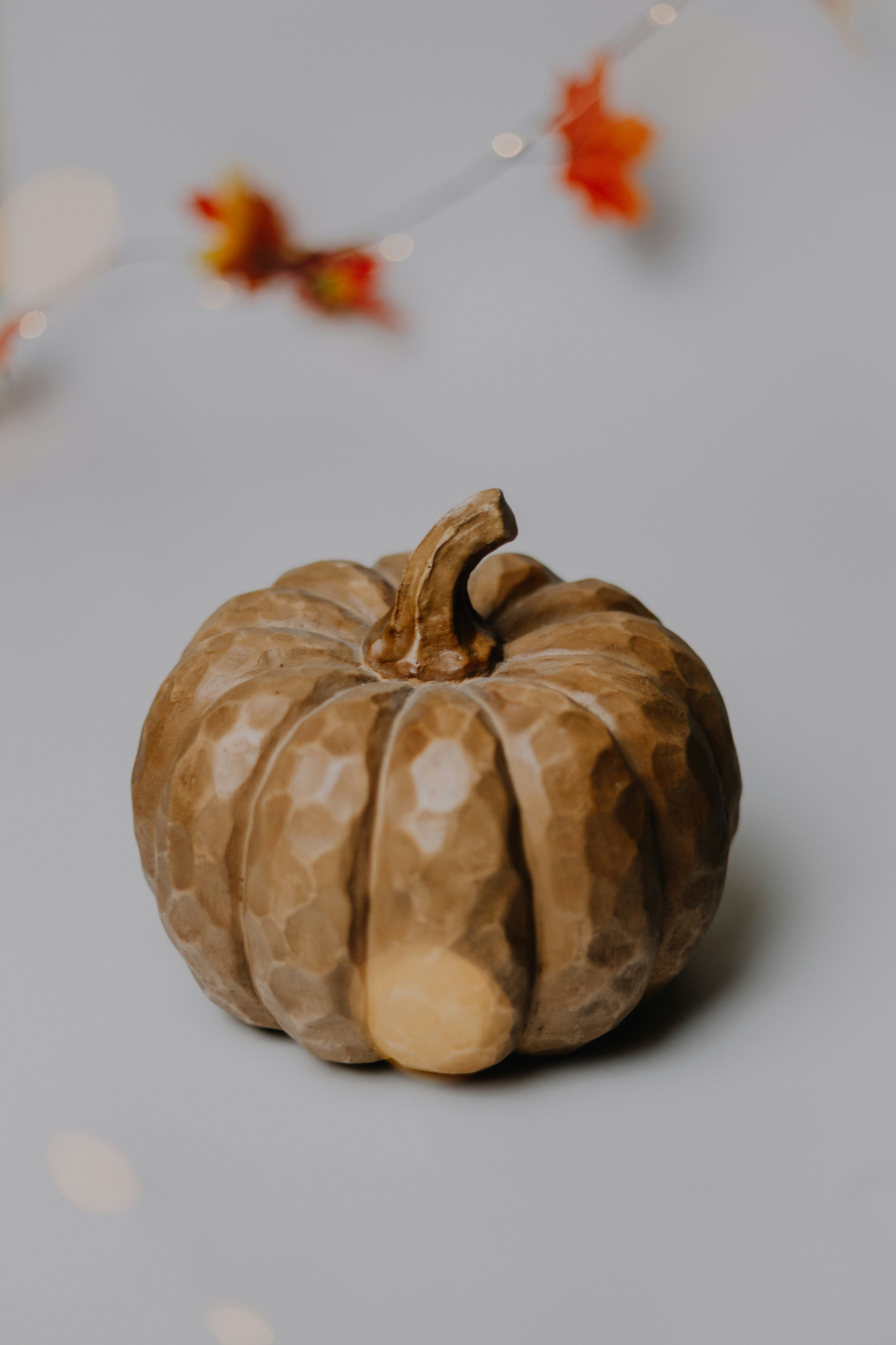 Photo by isaacmartin