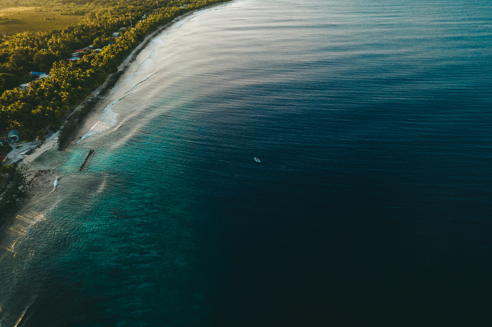 a large body of water surrounded by trees