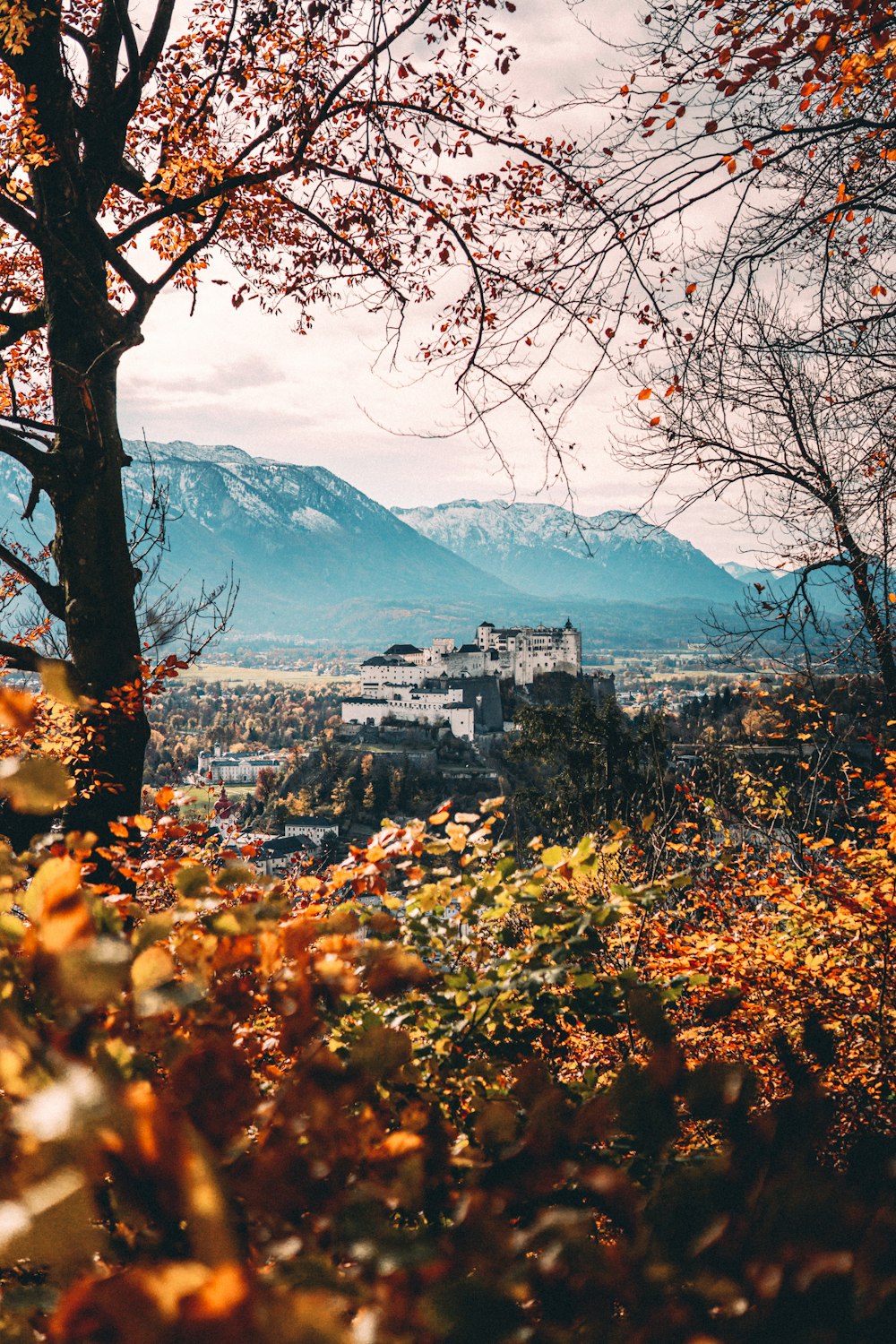 a scenic view of a city with mountains in the background