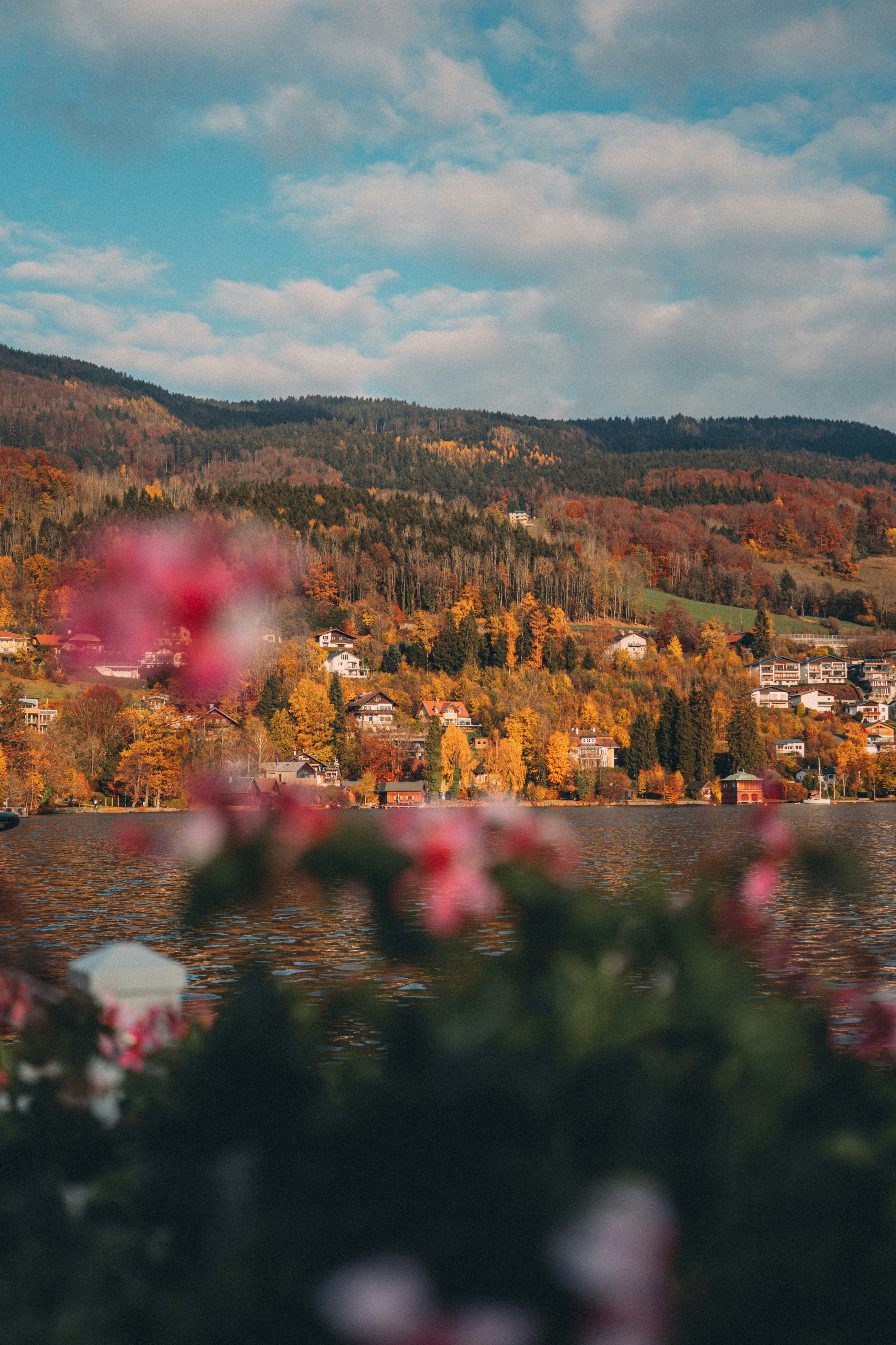 Photo by josephjones_