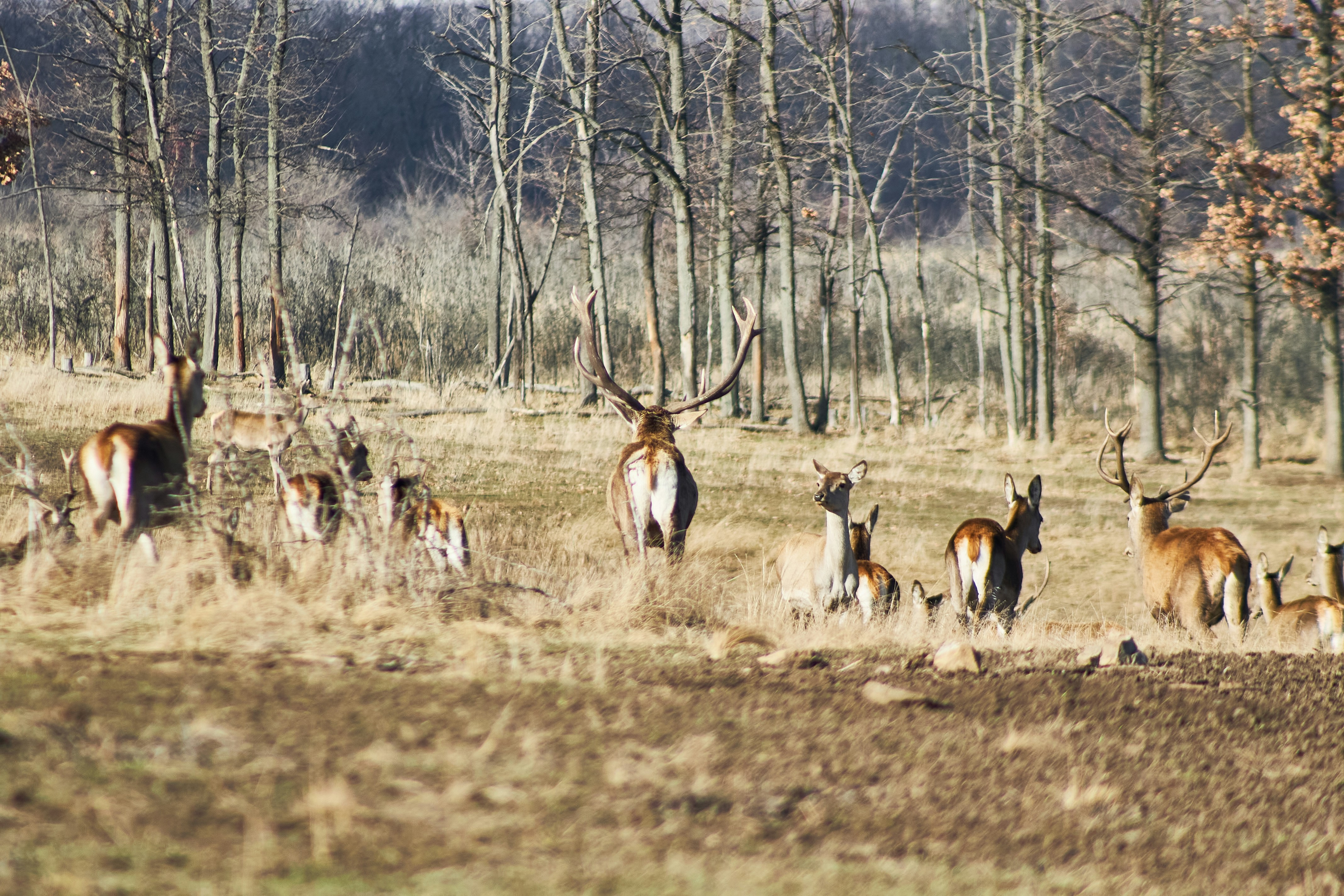 Photo by stabelwebel