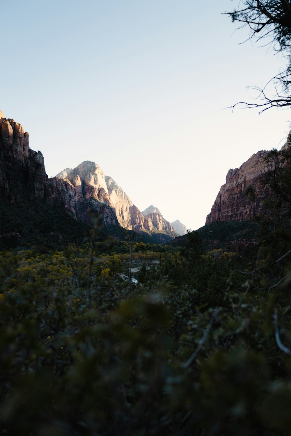 a view of a mountain range with trees in the foreground