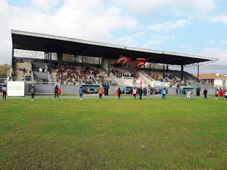 The opening ceremony with players, coaches, and families gathered on the field, waving flags and cheering under a bright blue sky.