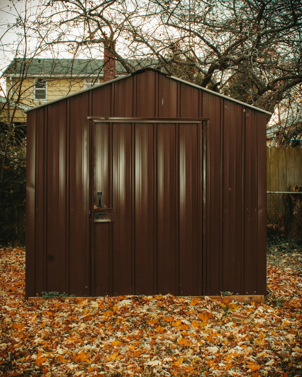 a brown shed sitting in the middle of a leaf covered yard