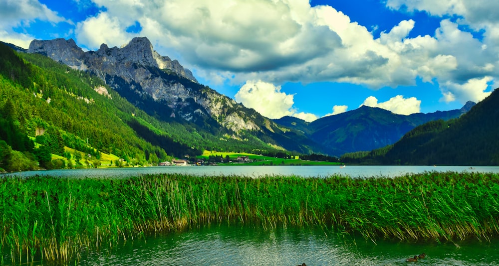 a lake surrounded by mountains and green grass